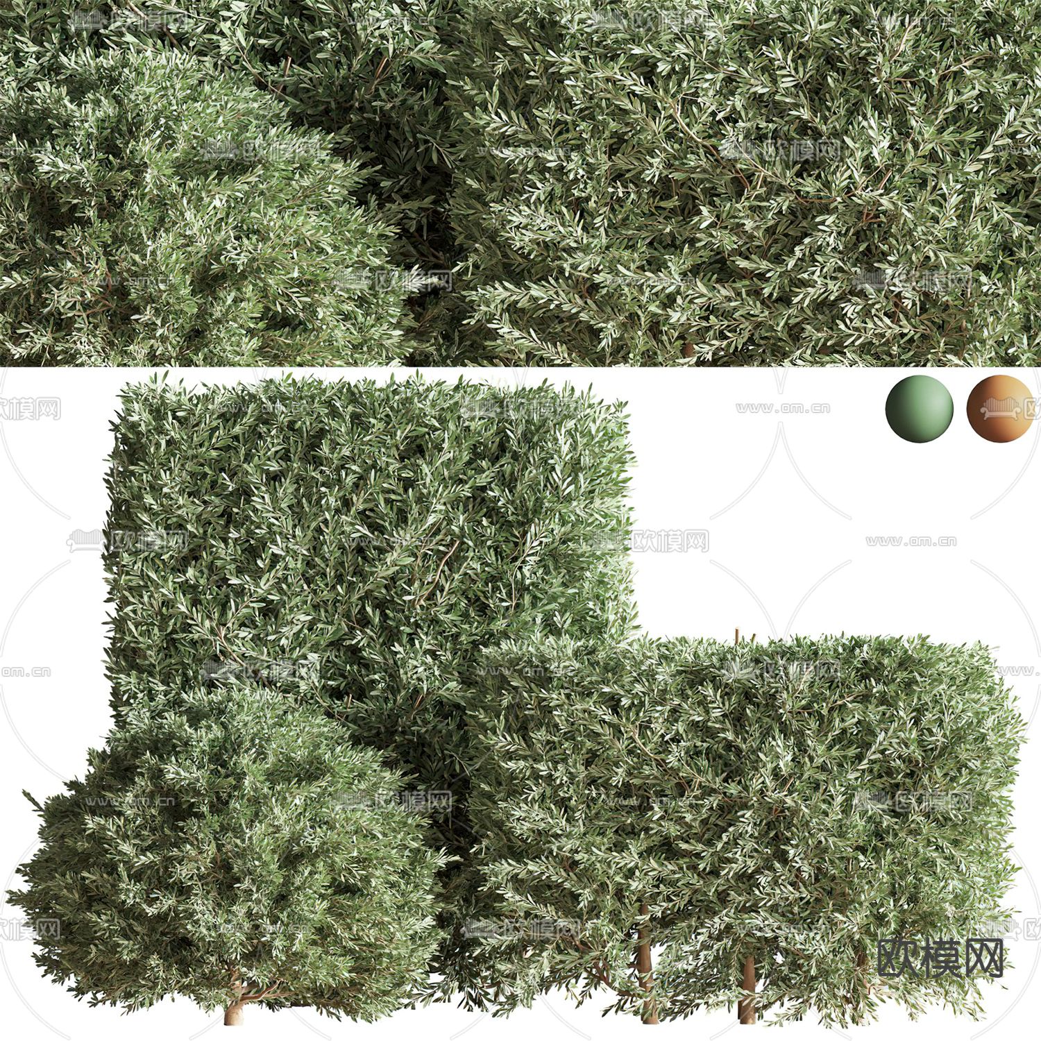 现代绿植枯枝灌木丛3d模型下载（渲染图2）