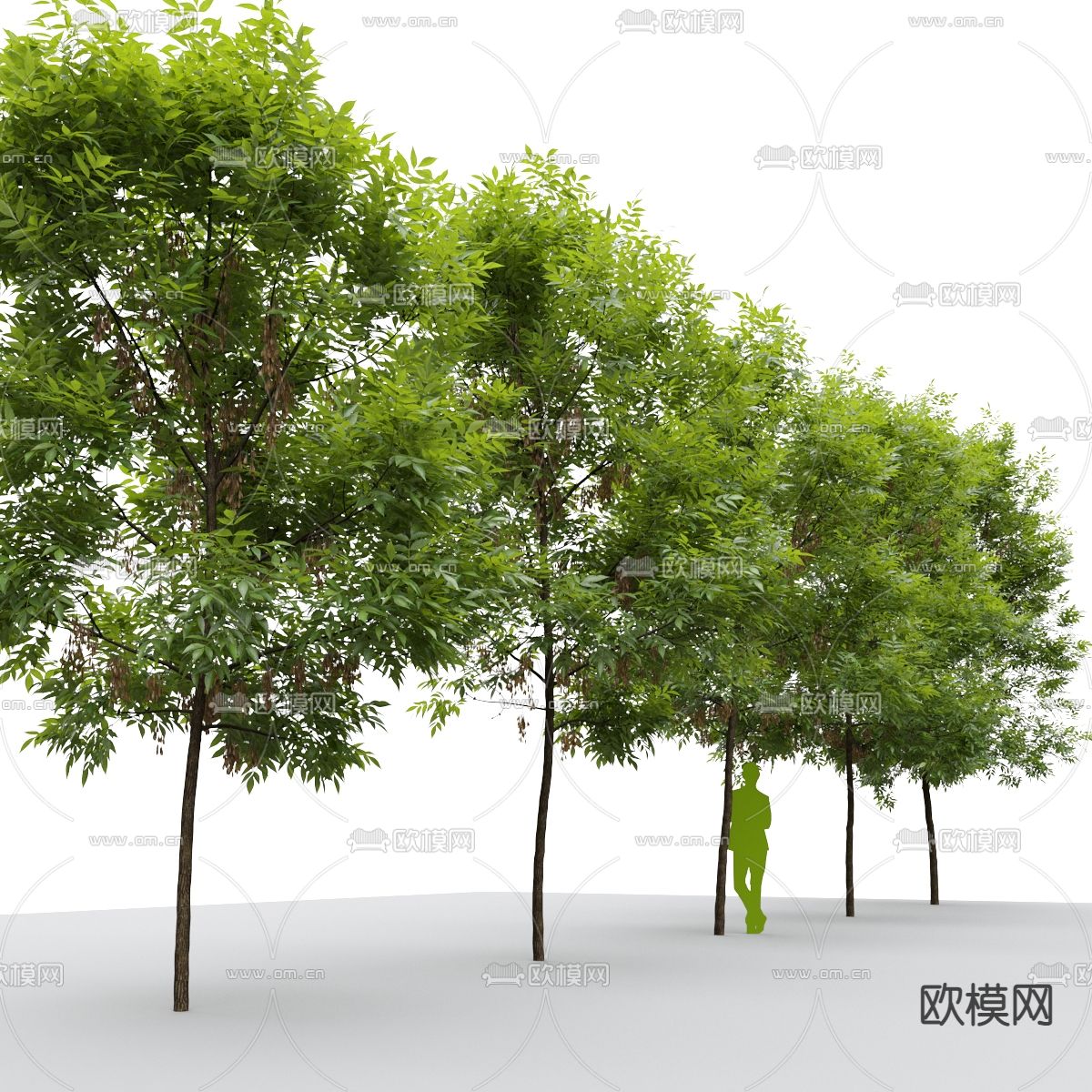 现代树木景观树3d模型