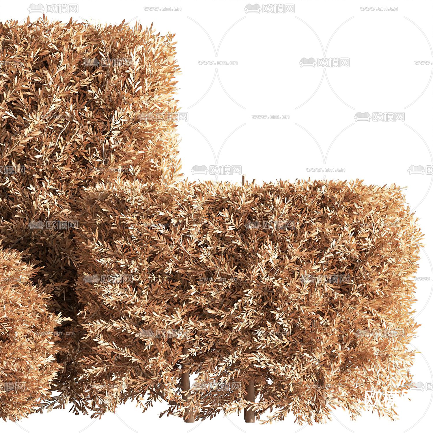 现代绿植枯枝灌木丛3d模型下载（渲染图3）