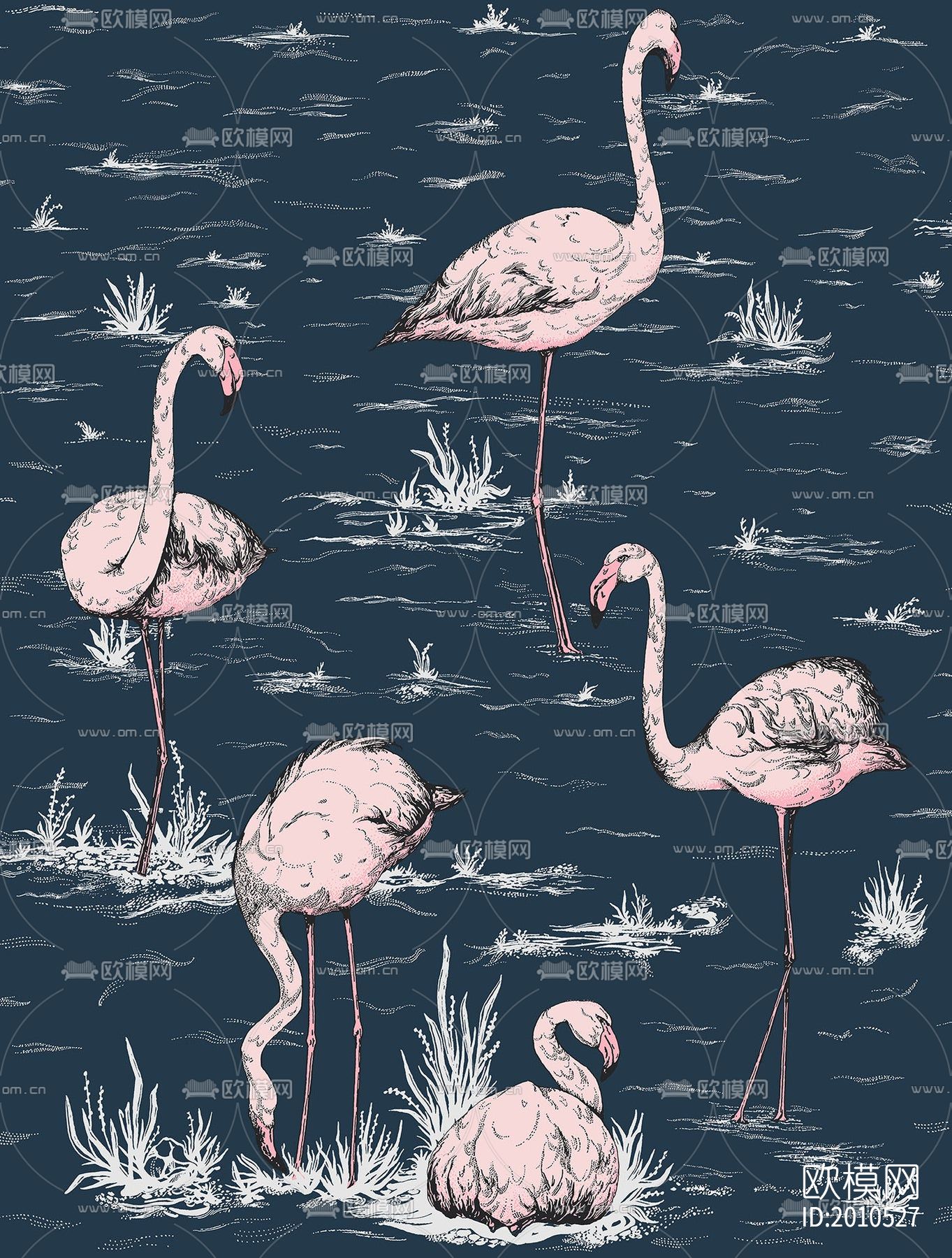 火烈鸟动物壁纸下载