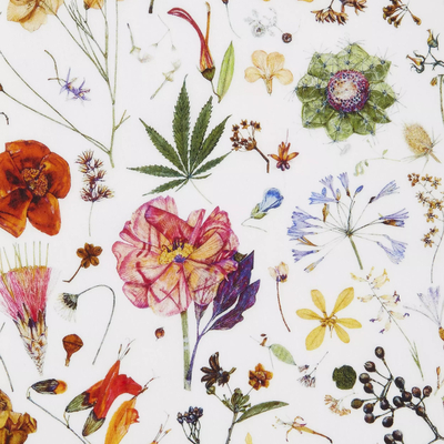  多色彩色植物印花碎花壁纸 