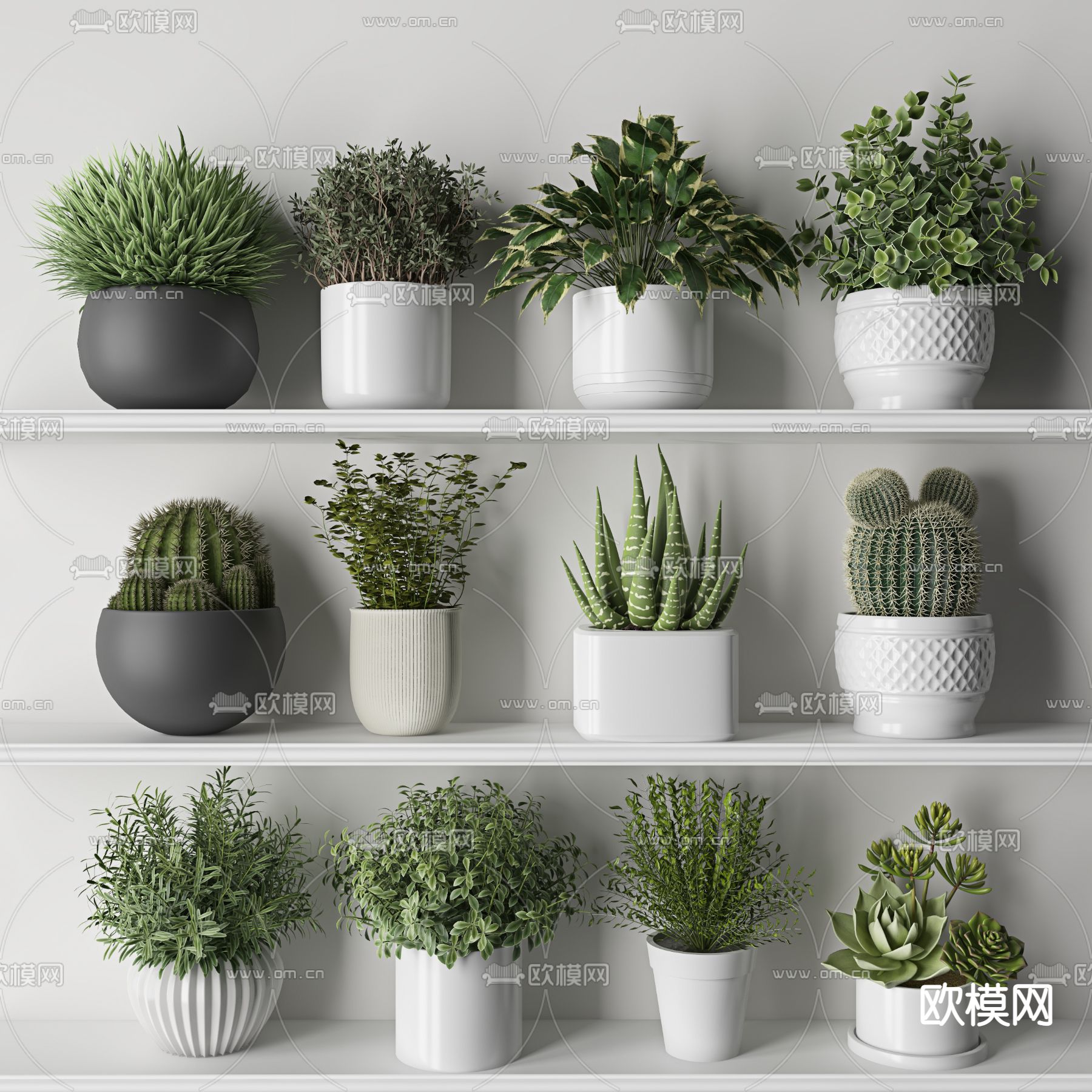 现代多肉植物盆栽3d模型