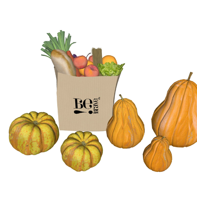  现代蔬菜su模型 