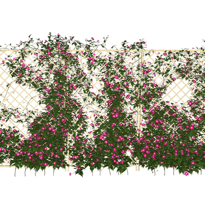  现代藤蔓绿植su模型 