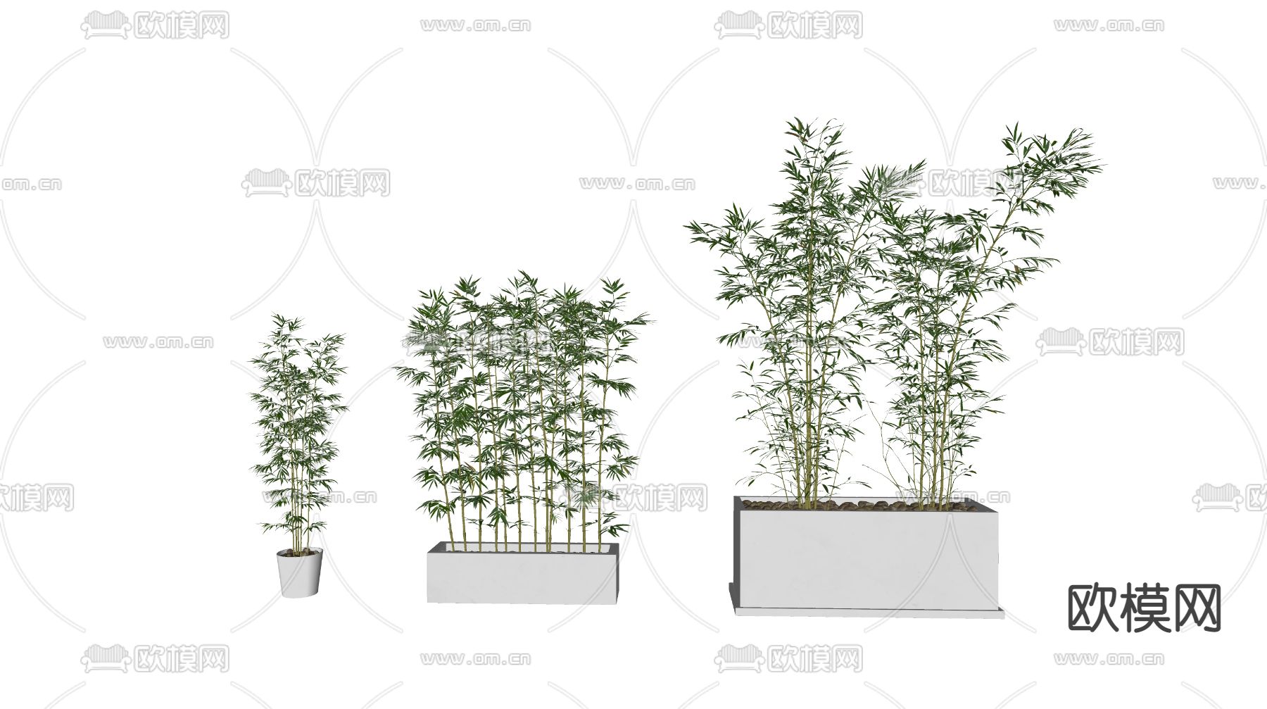 现代竹子盆栽su模型下载