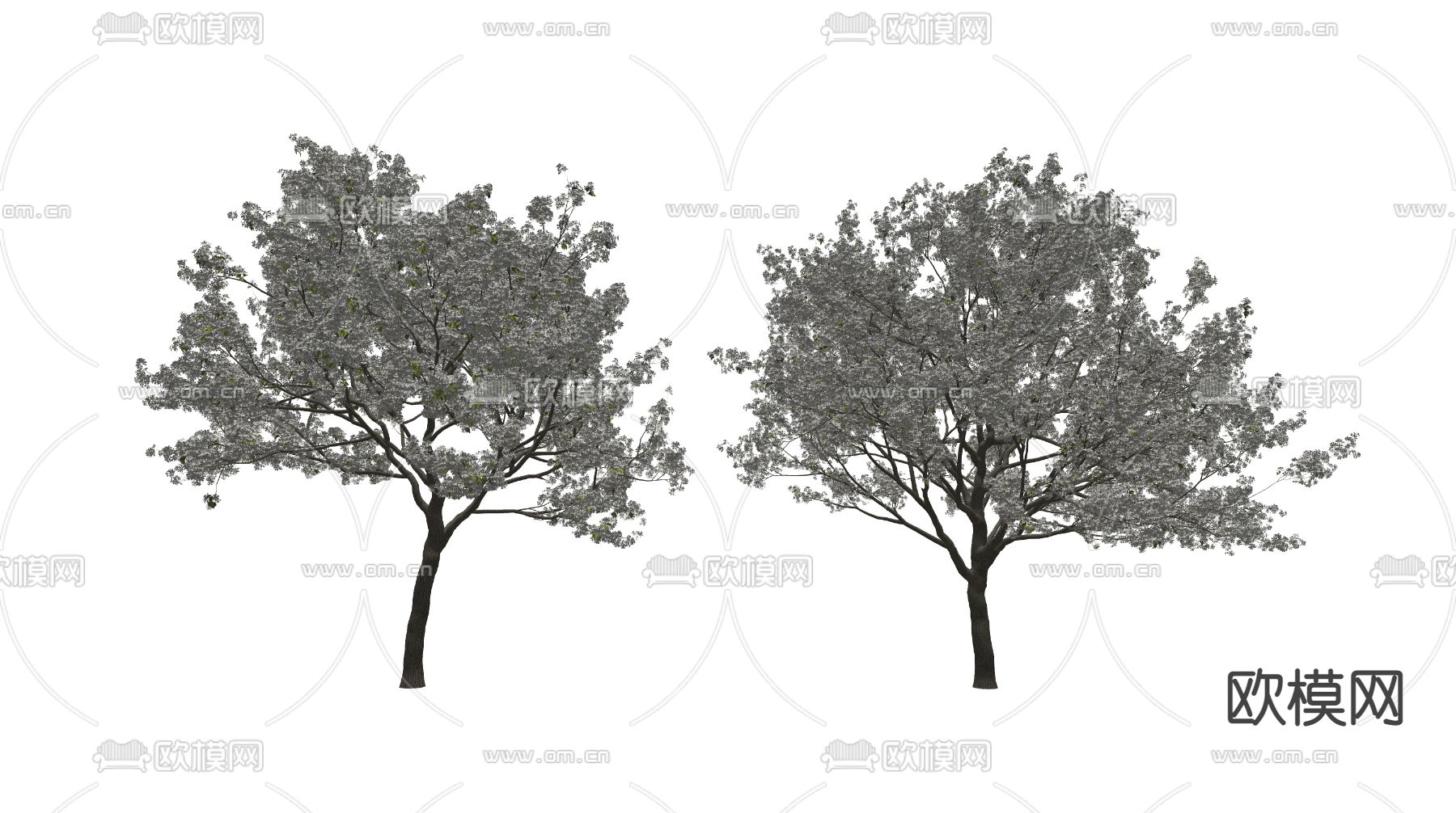 现代景观树su模型下载