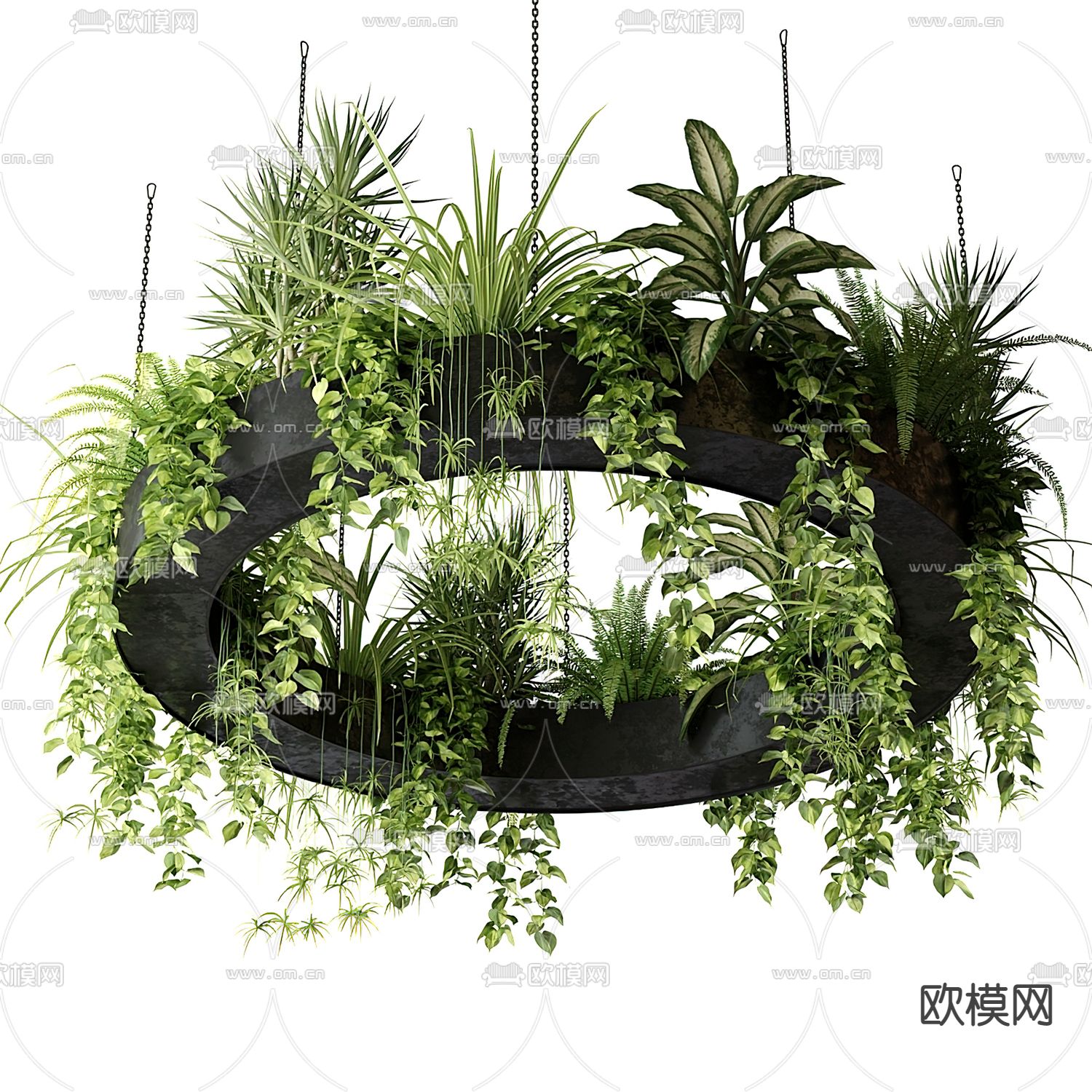 现代吊兰悬挂绿植3d模型
