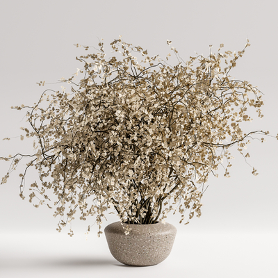 现代植物盆栽su模型