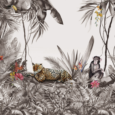  热带雨林植物动物壁纸 