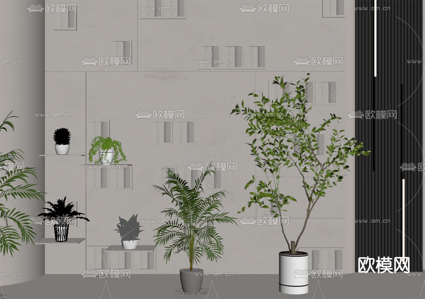 现代绿植su模型下载（渲染图2）