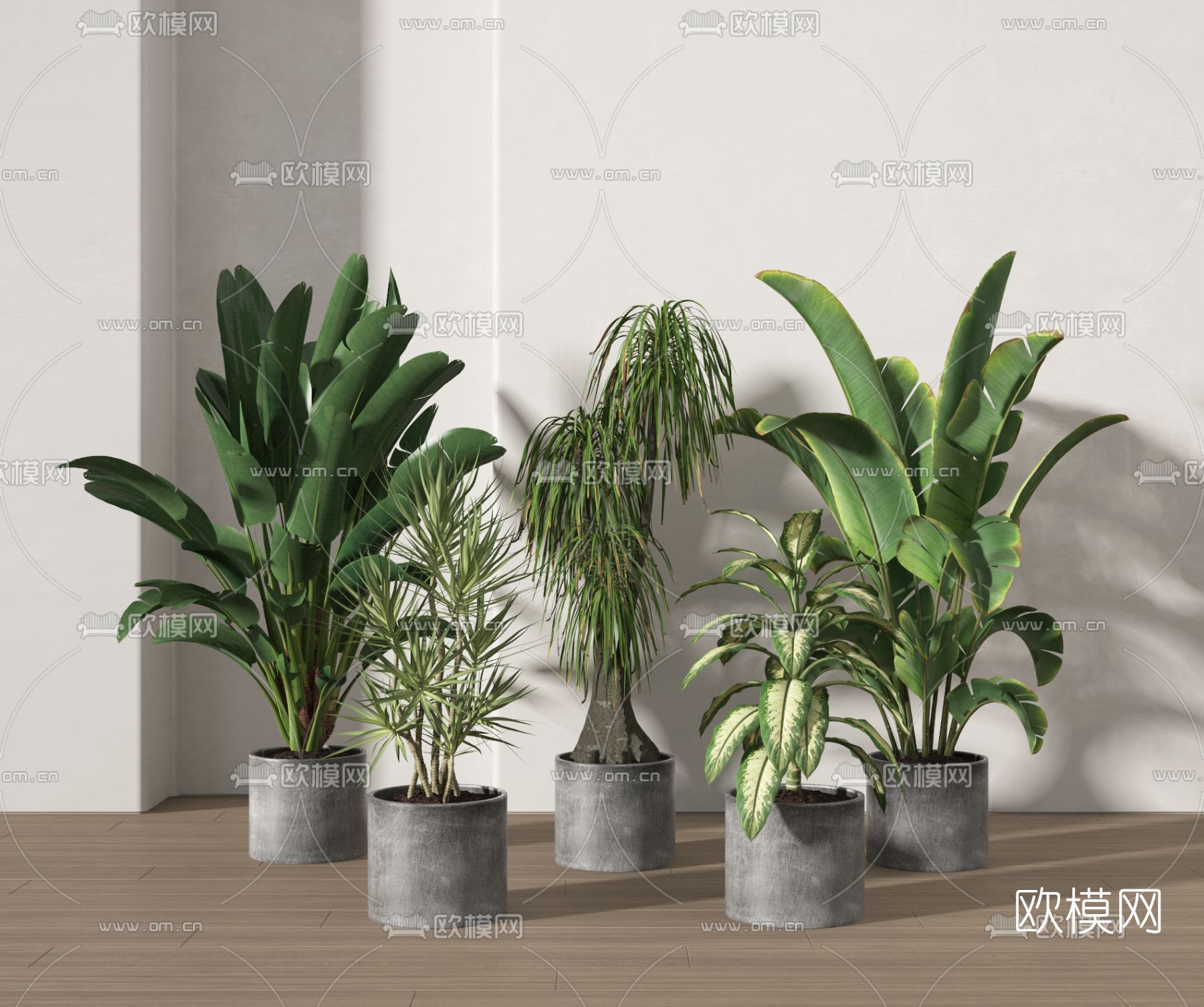 现代绿植盆栽3d模型下载