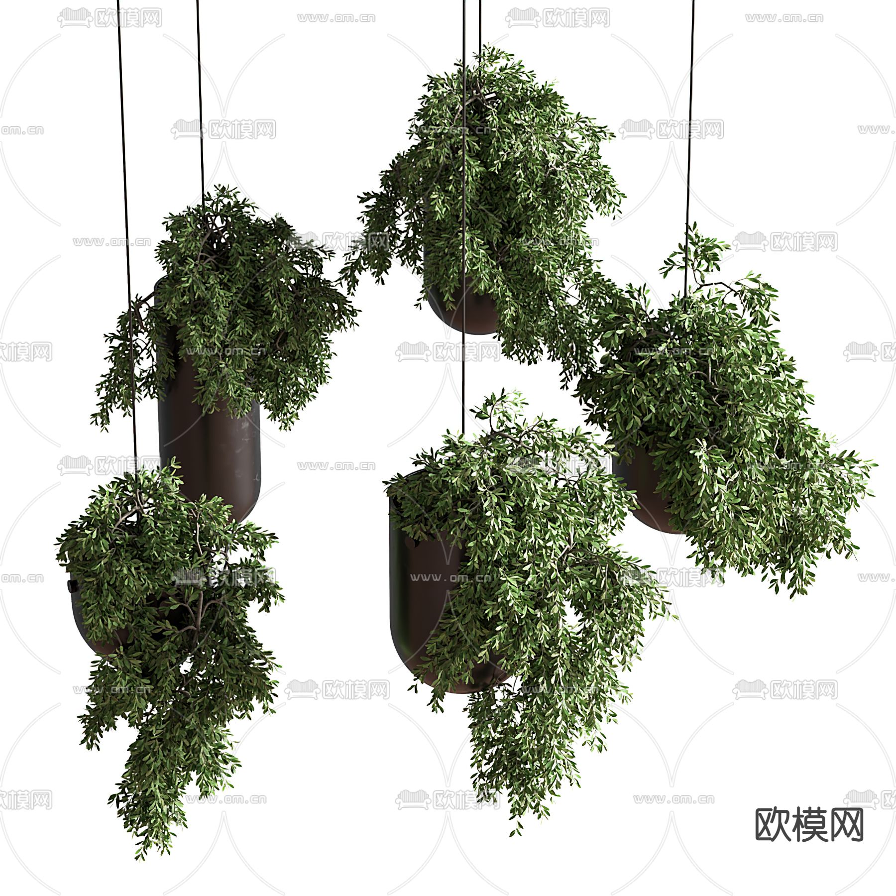 现代绿植吊篮3d模型下载（渲染图3）