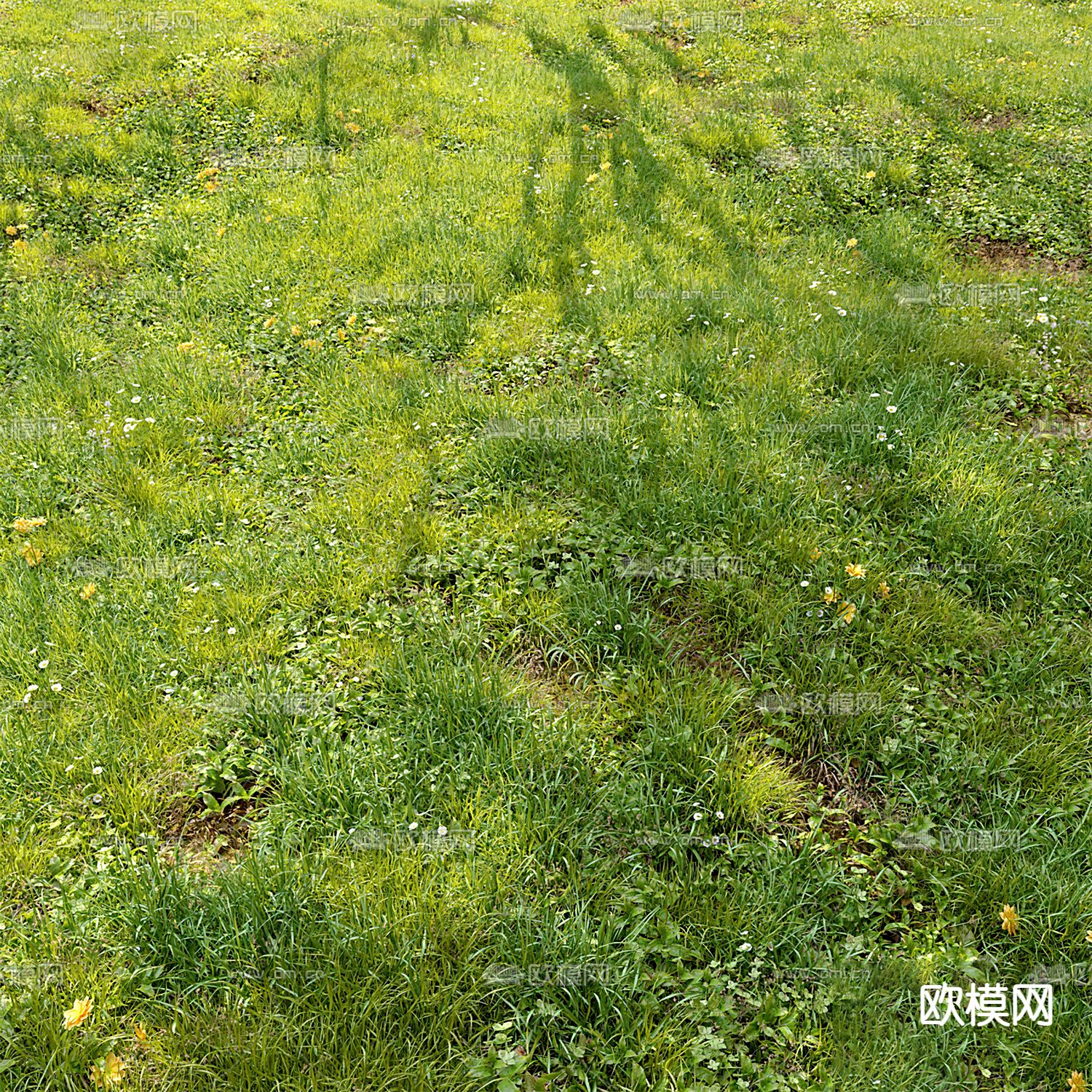 现代草地草坪3d模型