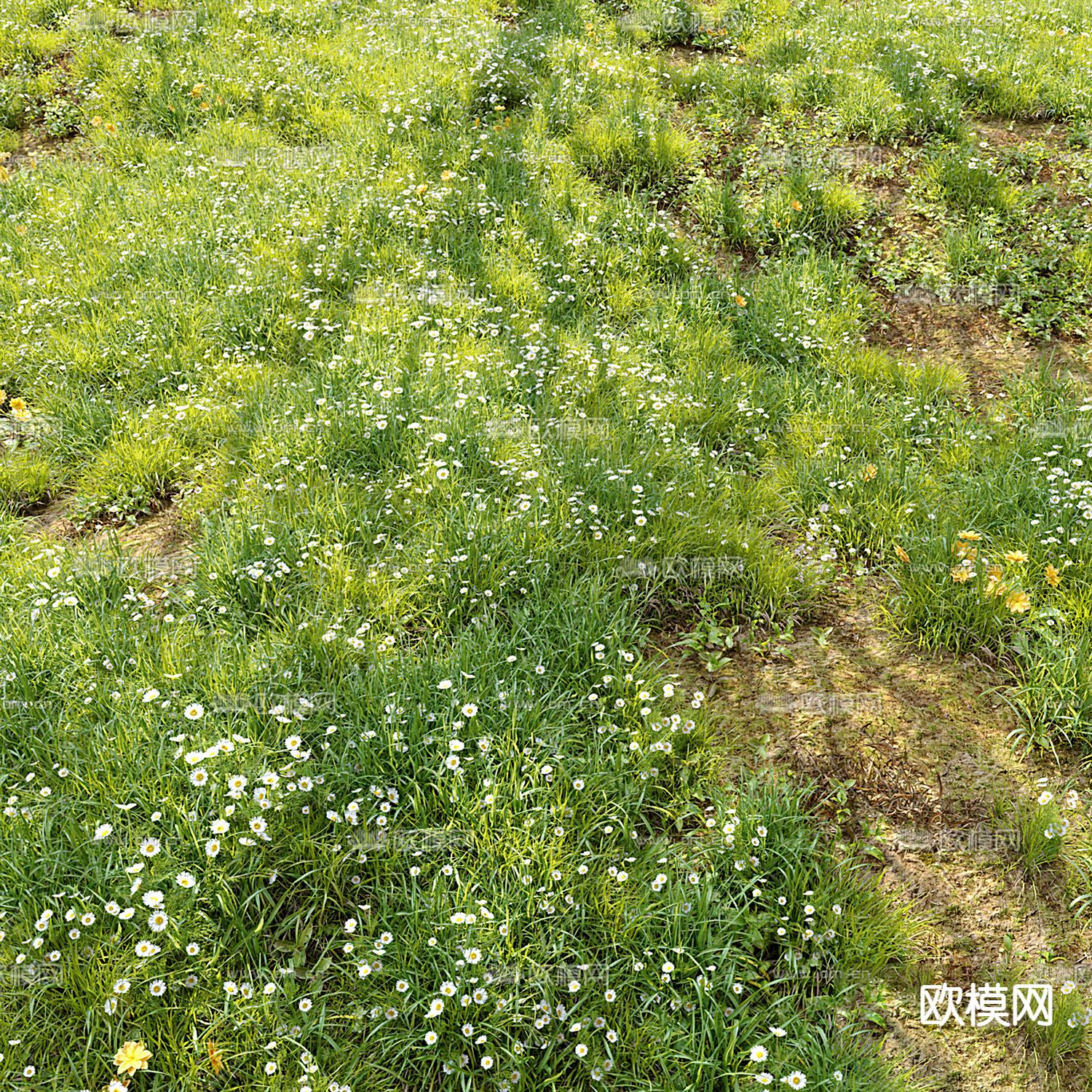 现代草地草坪3d模型