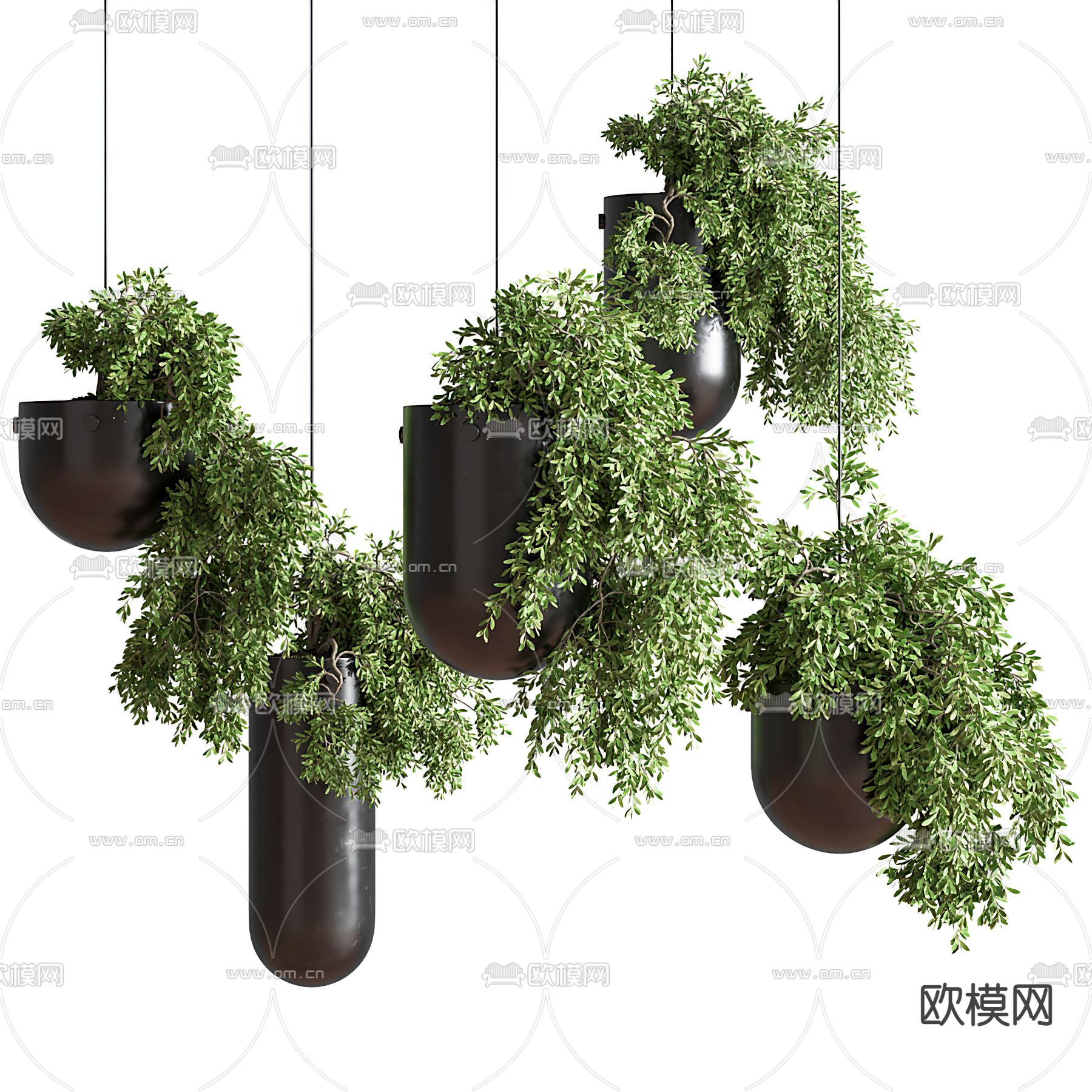 现代绿植吊篮3d模型下载（渲染图1）