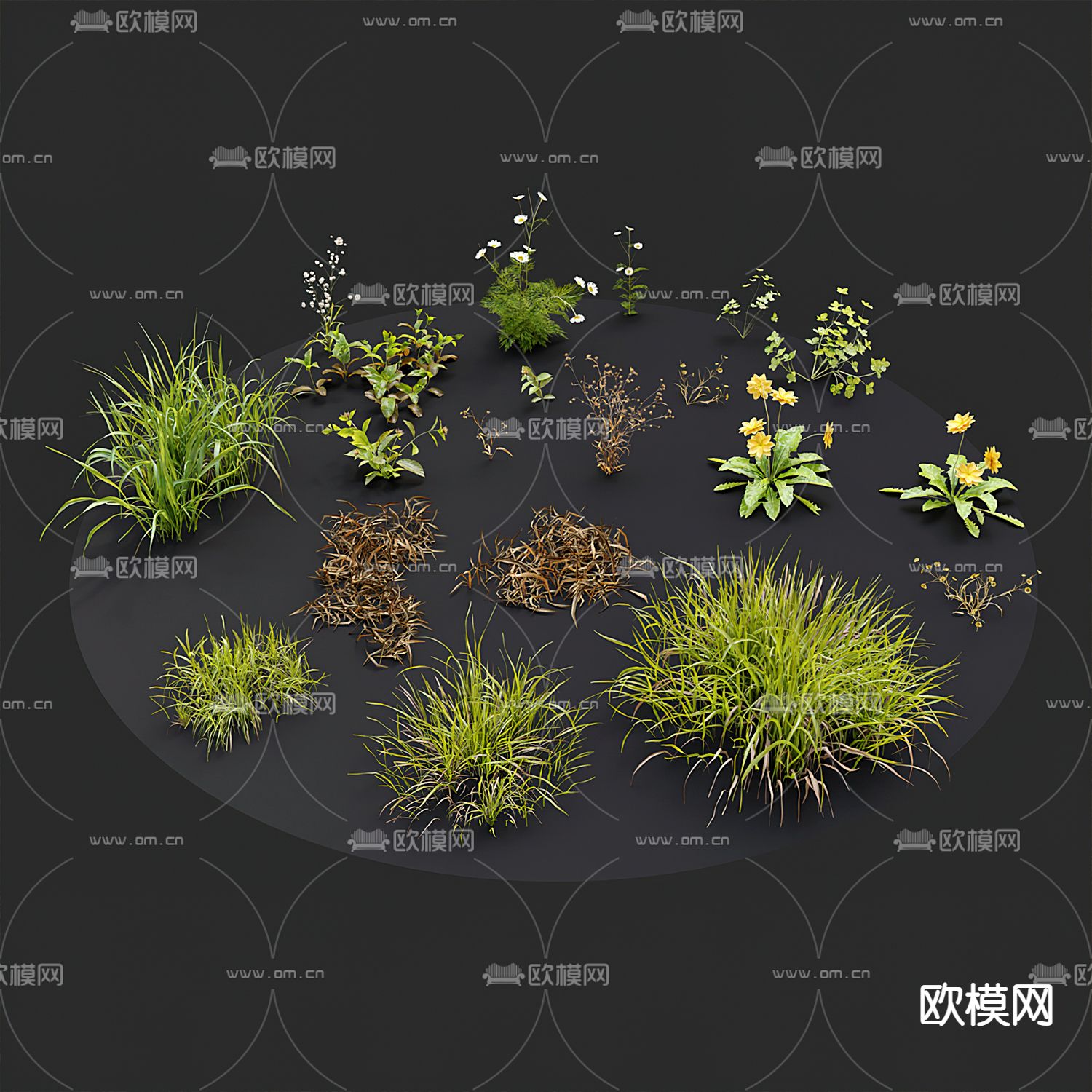 现代草地草坪3d模型