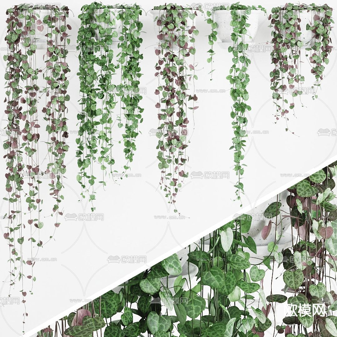 现代植物藤蔓su模型下载（渲染图1）