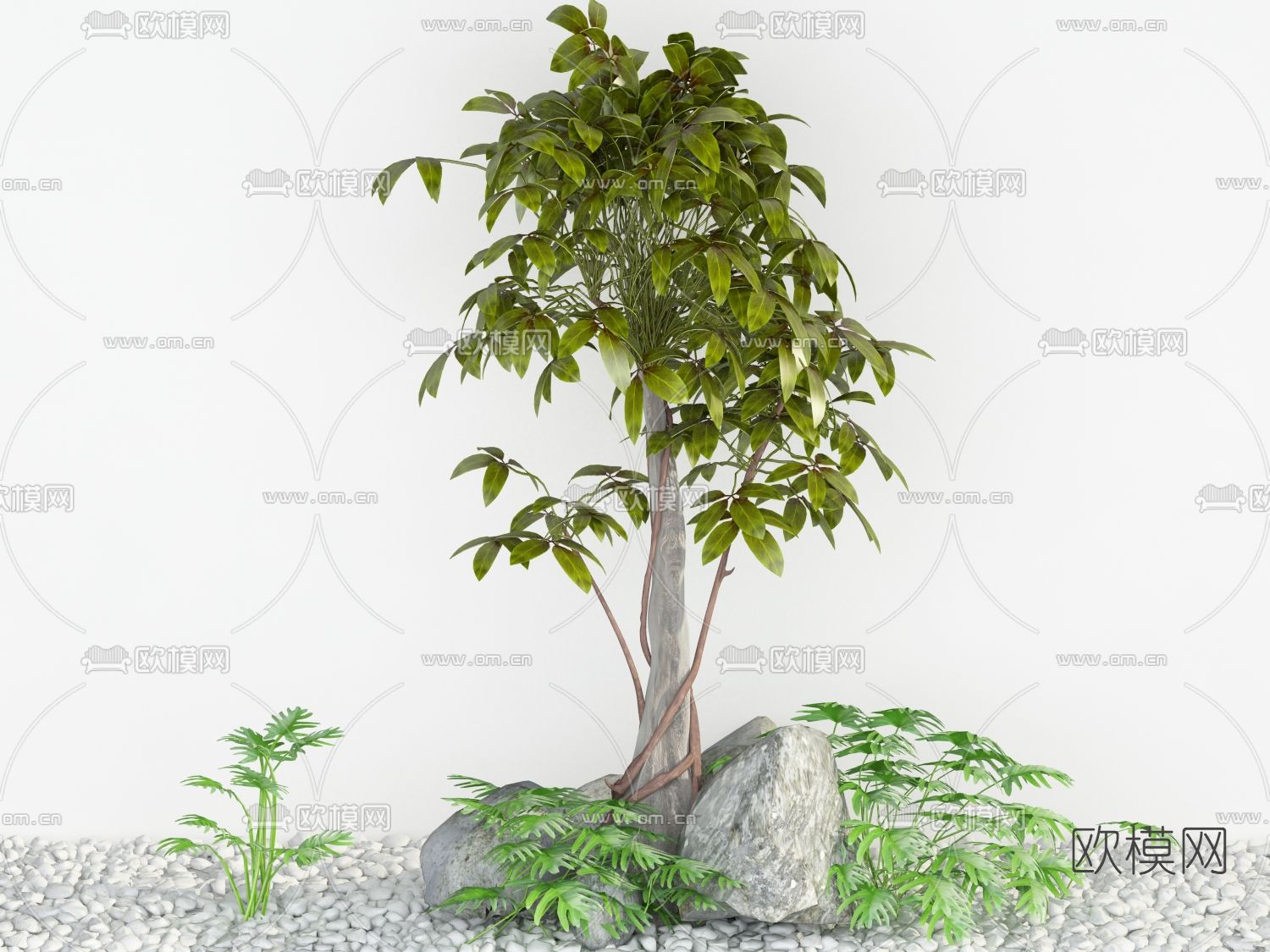 现代景观树免费3d模型下载