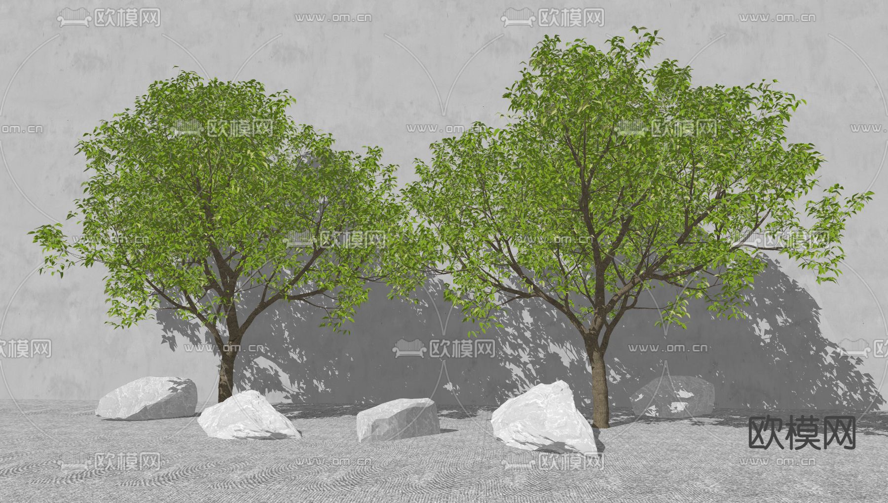 现代景观树su模型下载（渲染图2）