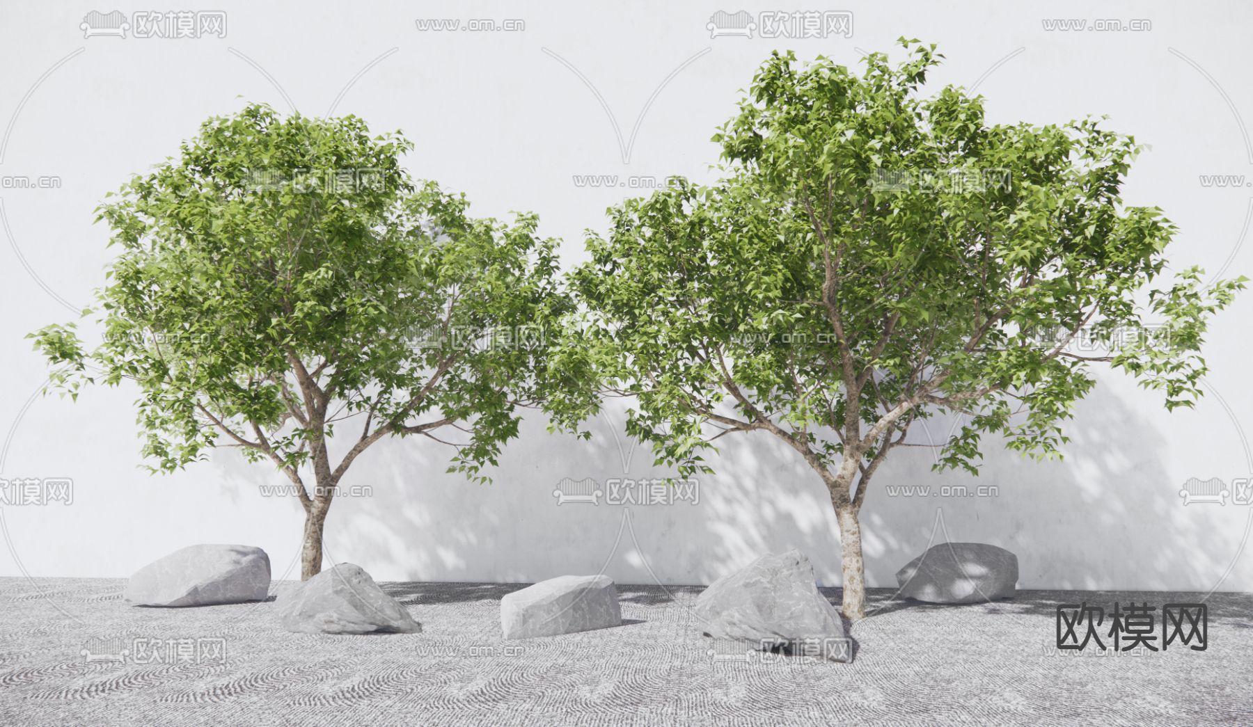 现代景观树su模型下载（渲染图1）