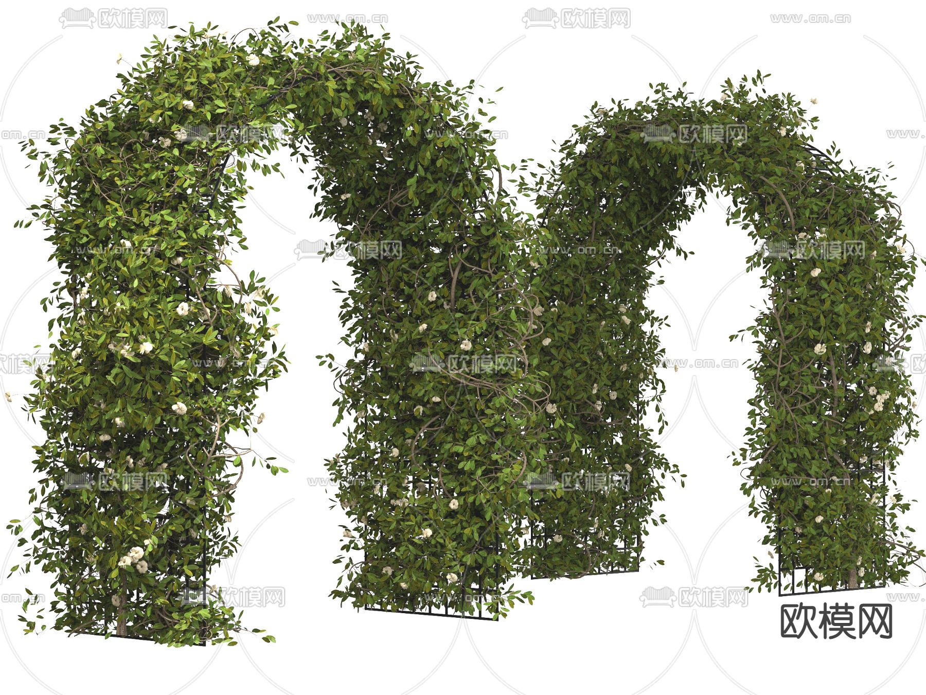 现代拱门藤蔓植物3d模型