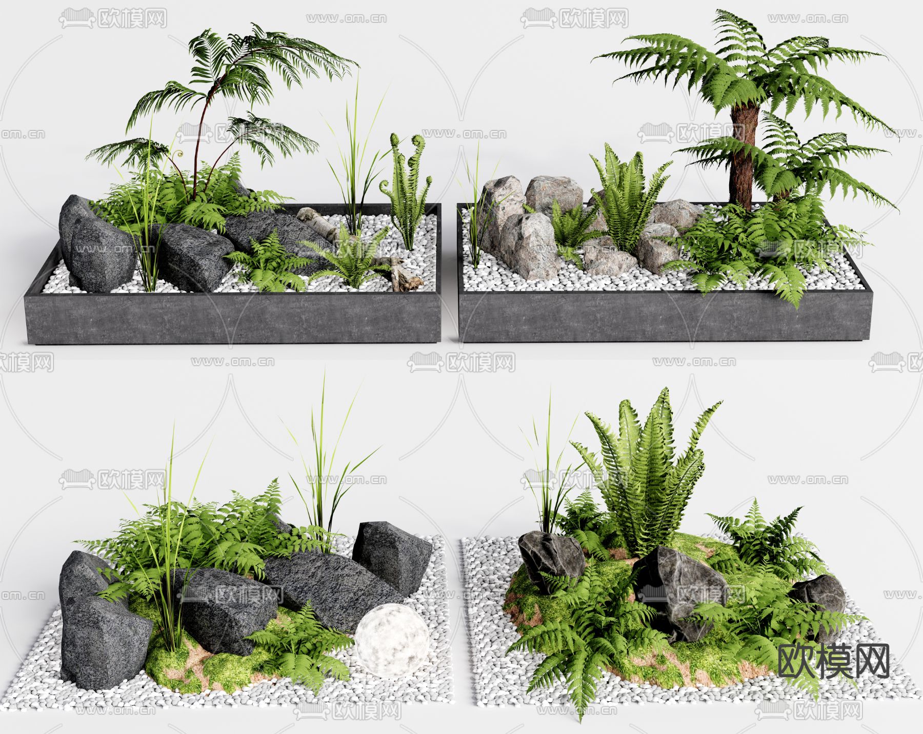 现代植物盆栽蕨类su模型