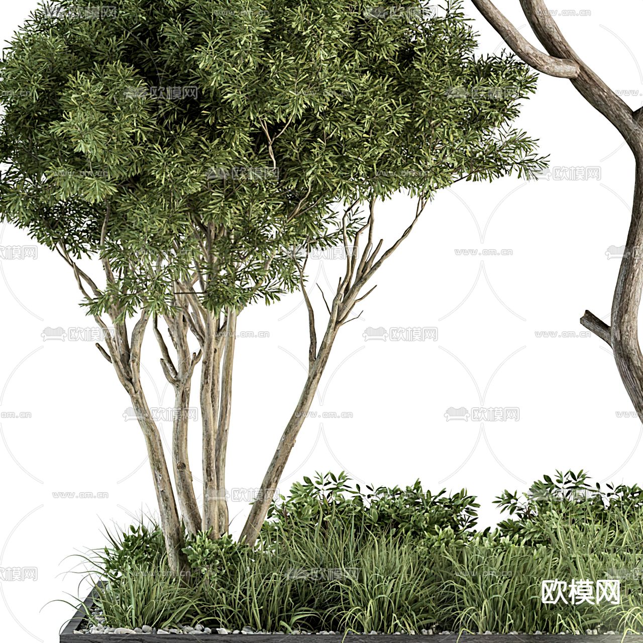 现代绿植花坛小品3d模型下载（渲染图2）
