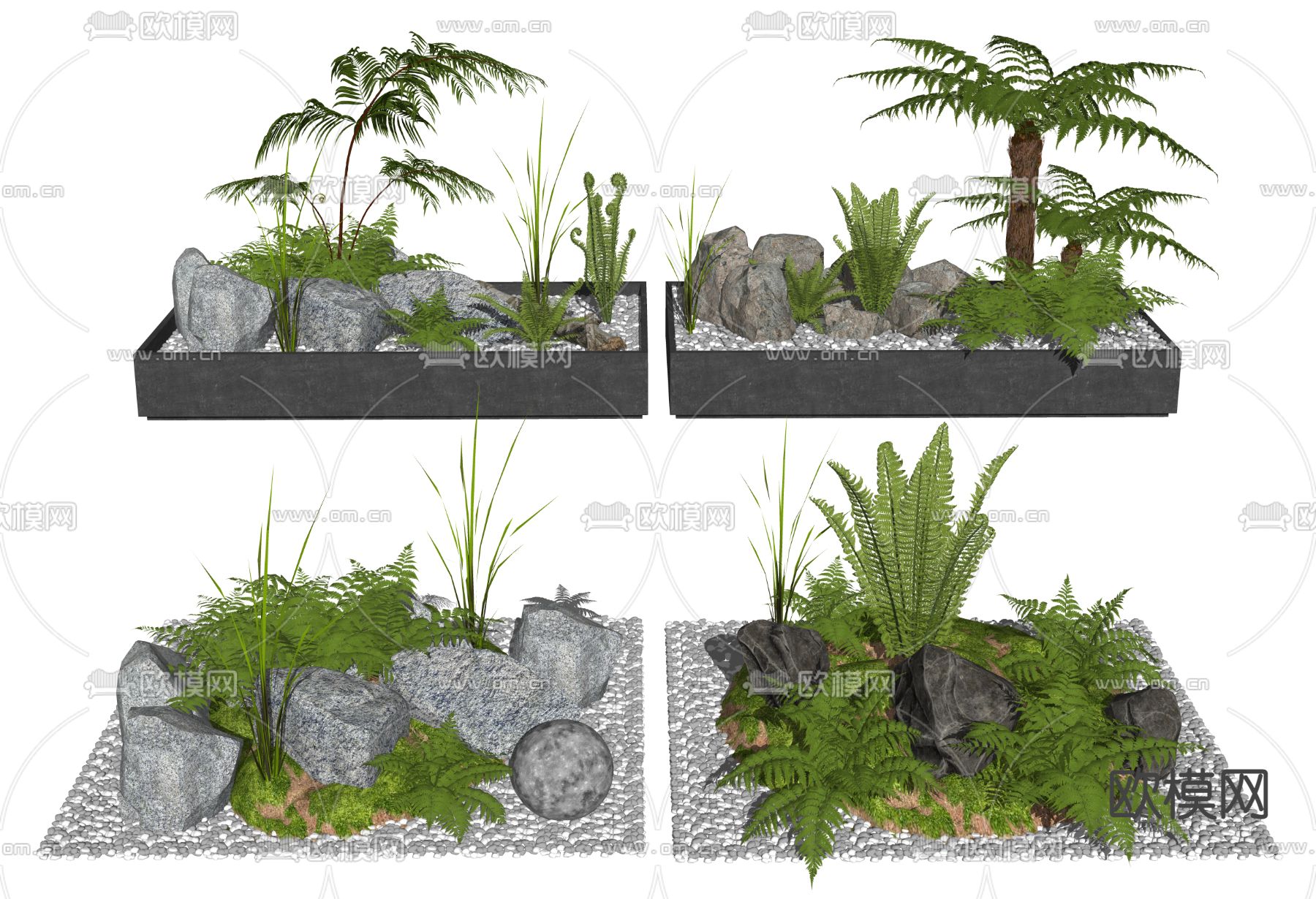 现代植物盆栽蕨类su模型