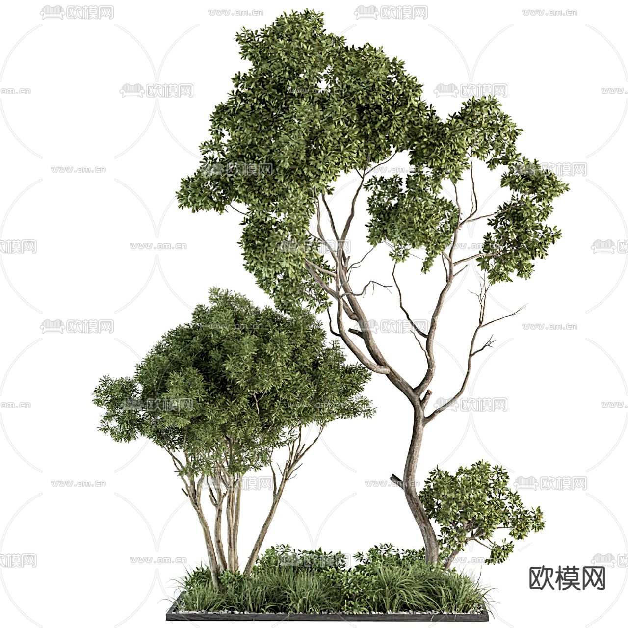现代绿植花坛小品3d模型下载（渲染图1）