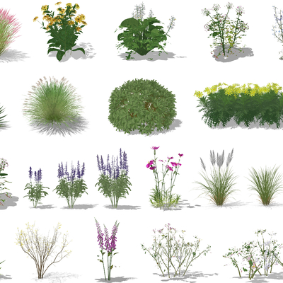  现代草丛灌木su模型 