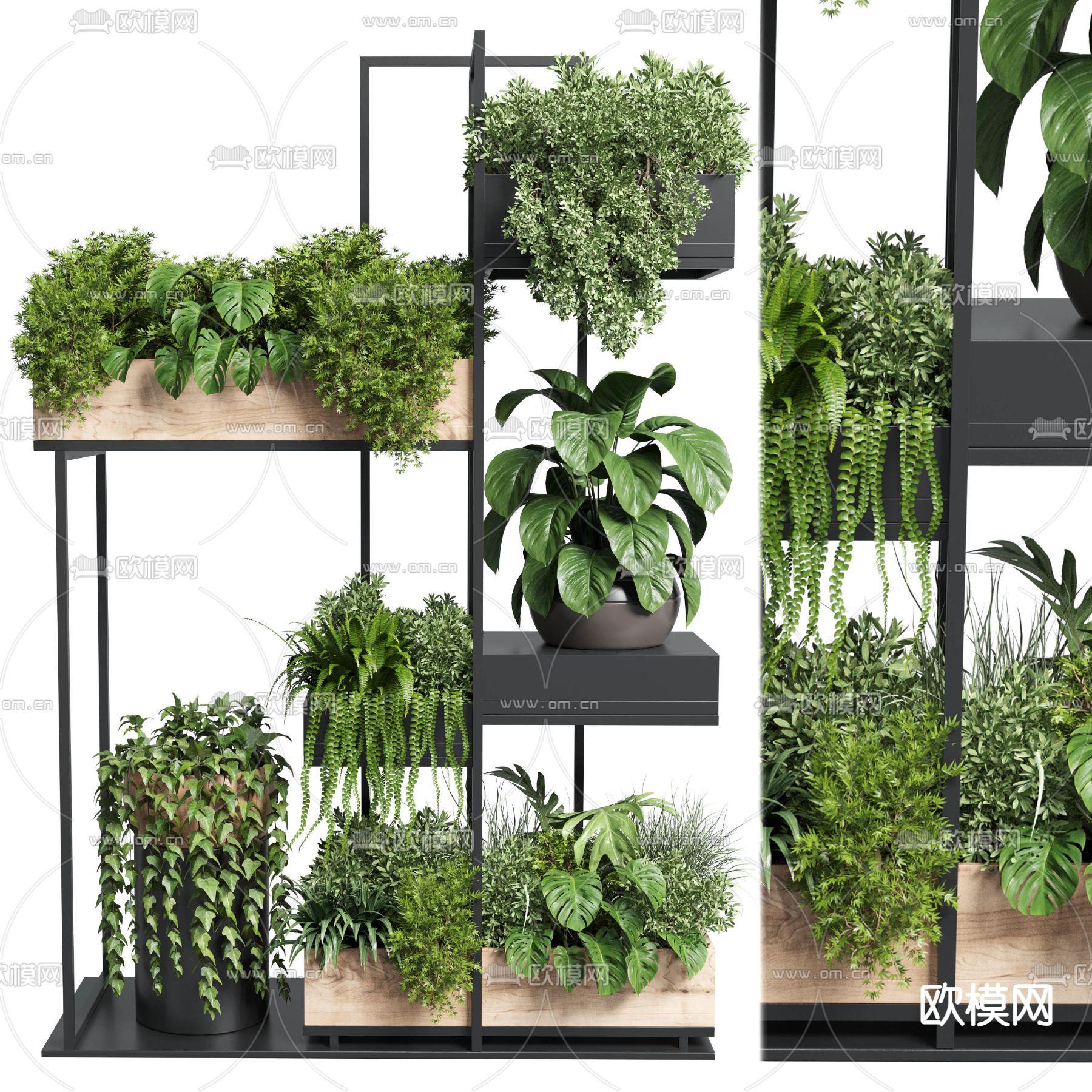 现代绿植盆栽植物架3d模型下载（渲染图2）