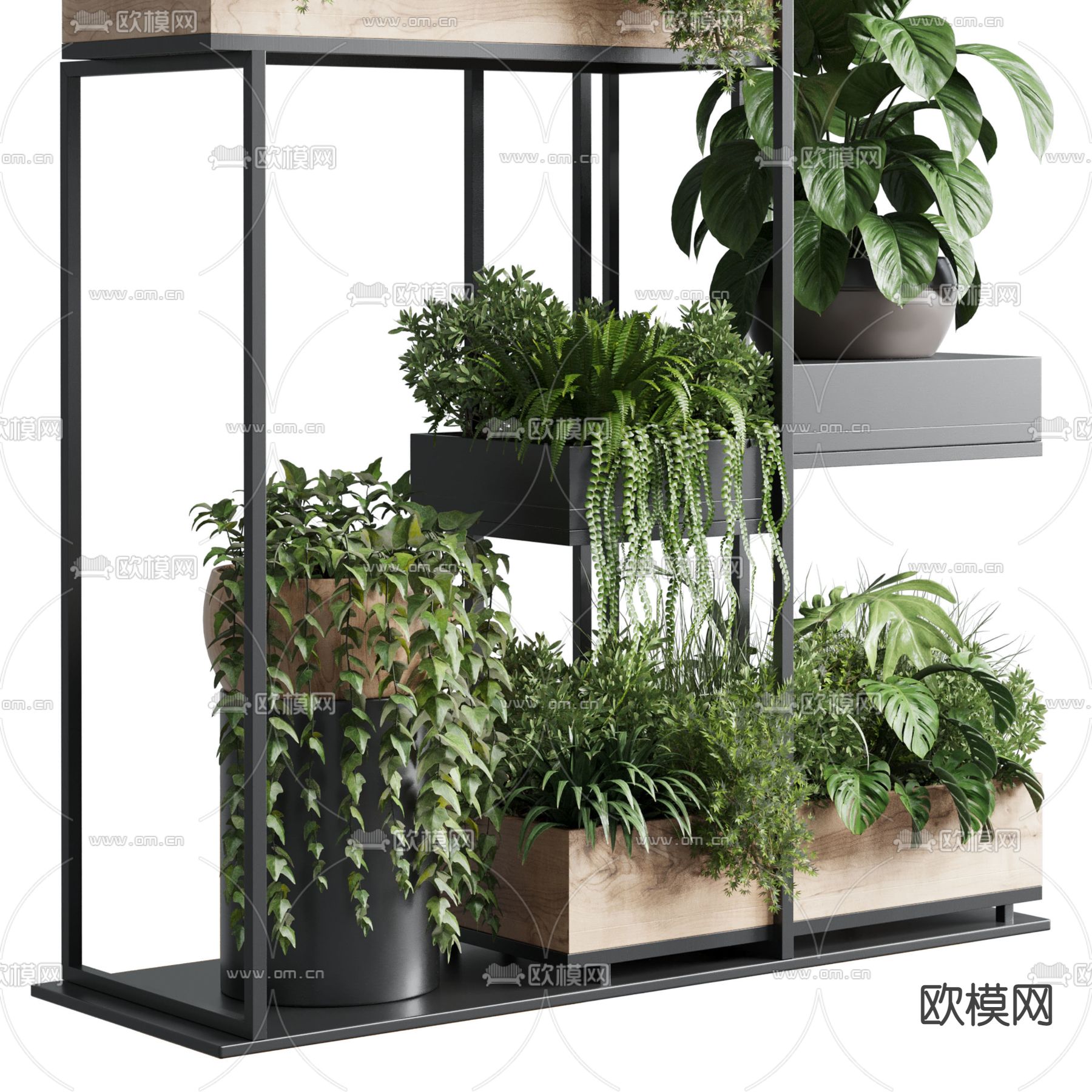 现代绿植盆栽植物架3d模型下载（渲染图4）