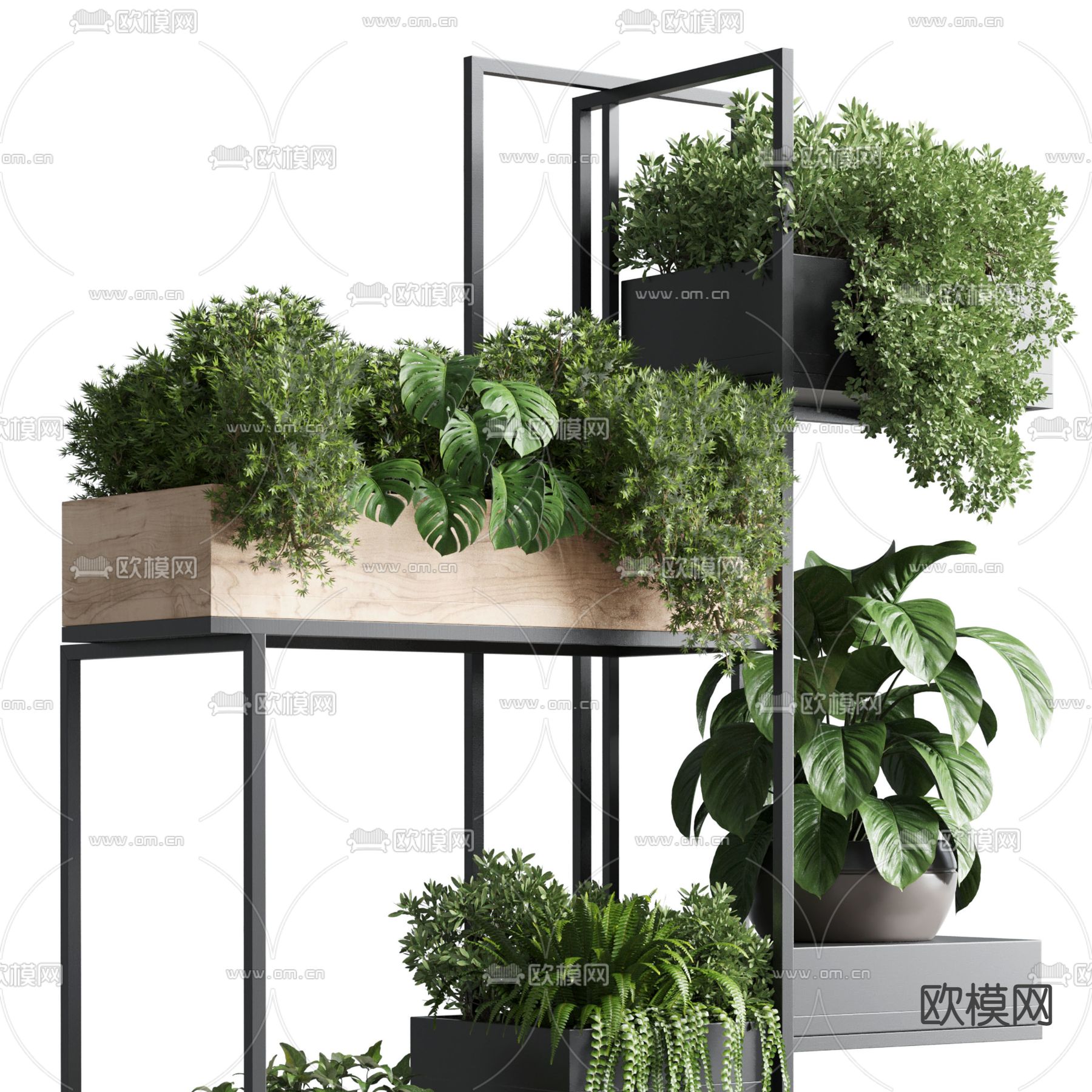 现代绿植盆栽植物架3d模型下载（渲染图3）