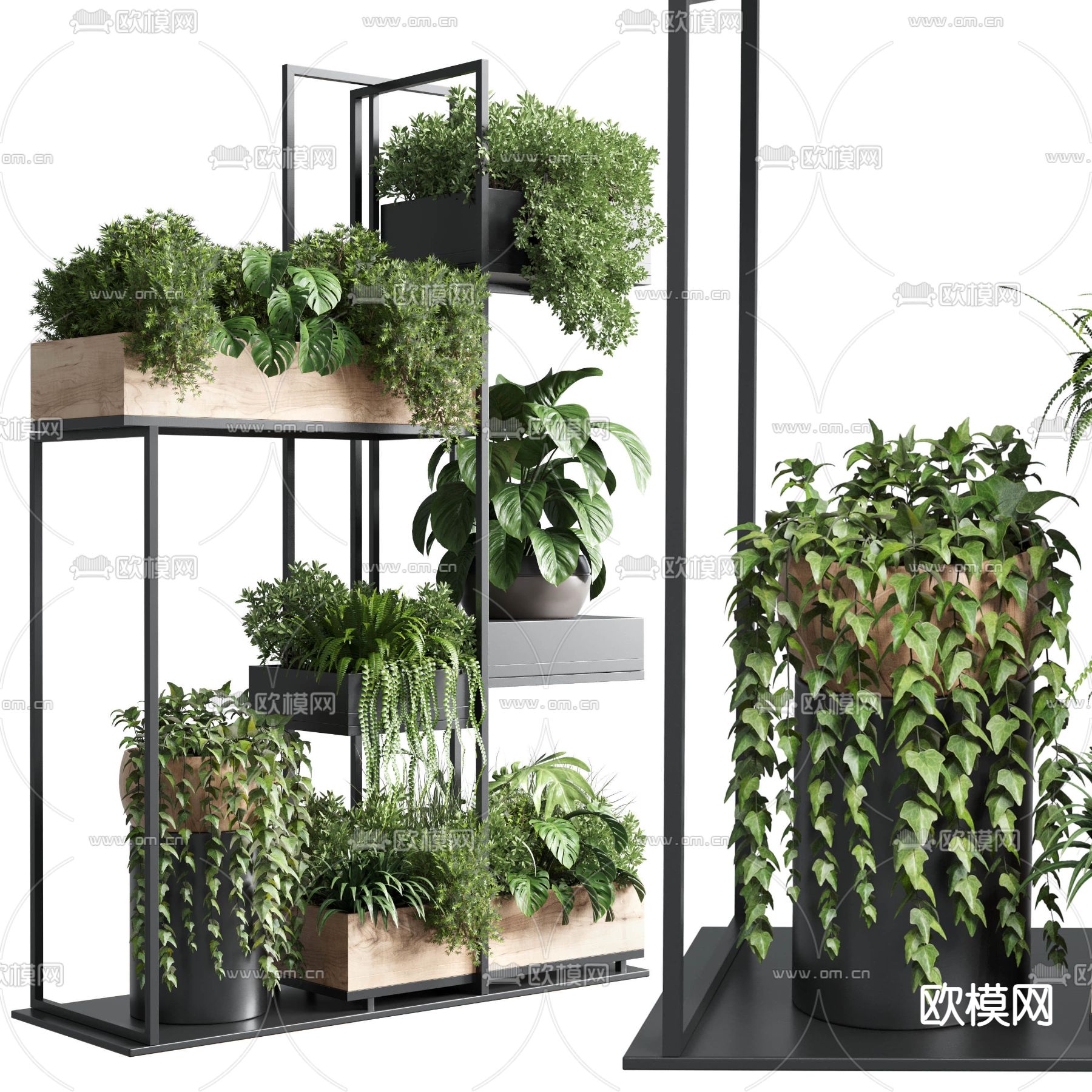 现代绿植盆栽植物架3d模型下载（渲染图1）