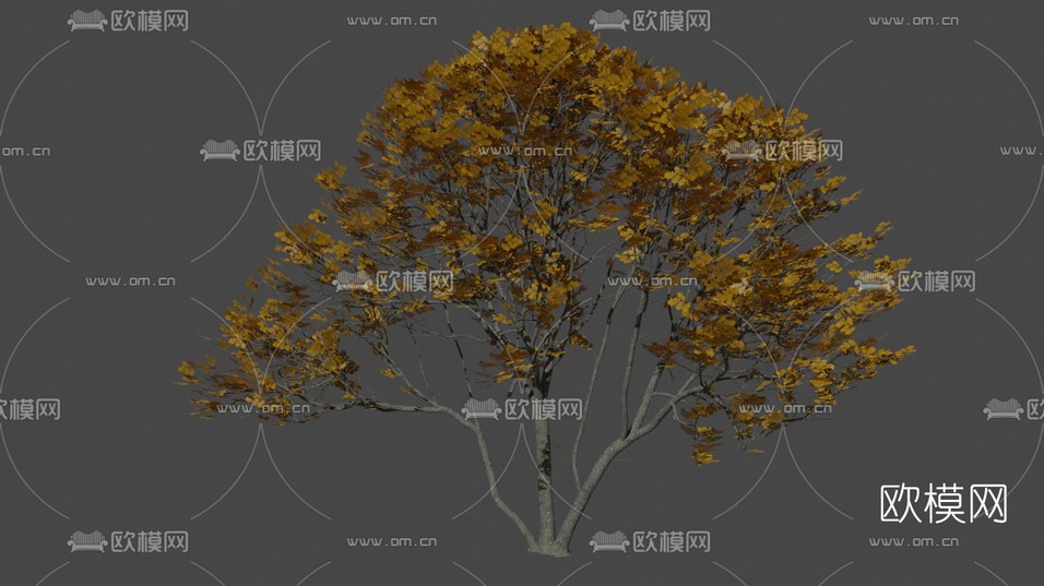 现代黄叶树木免费3d模型下载