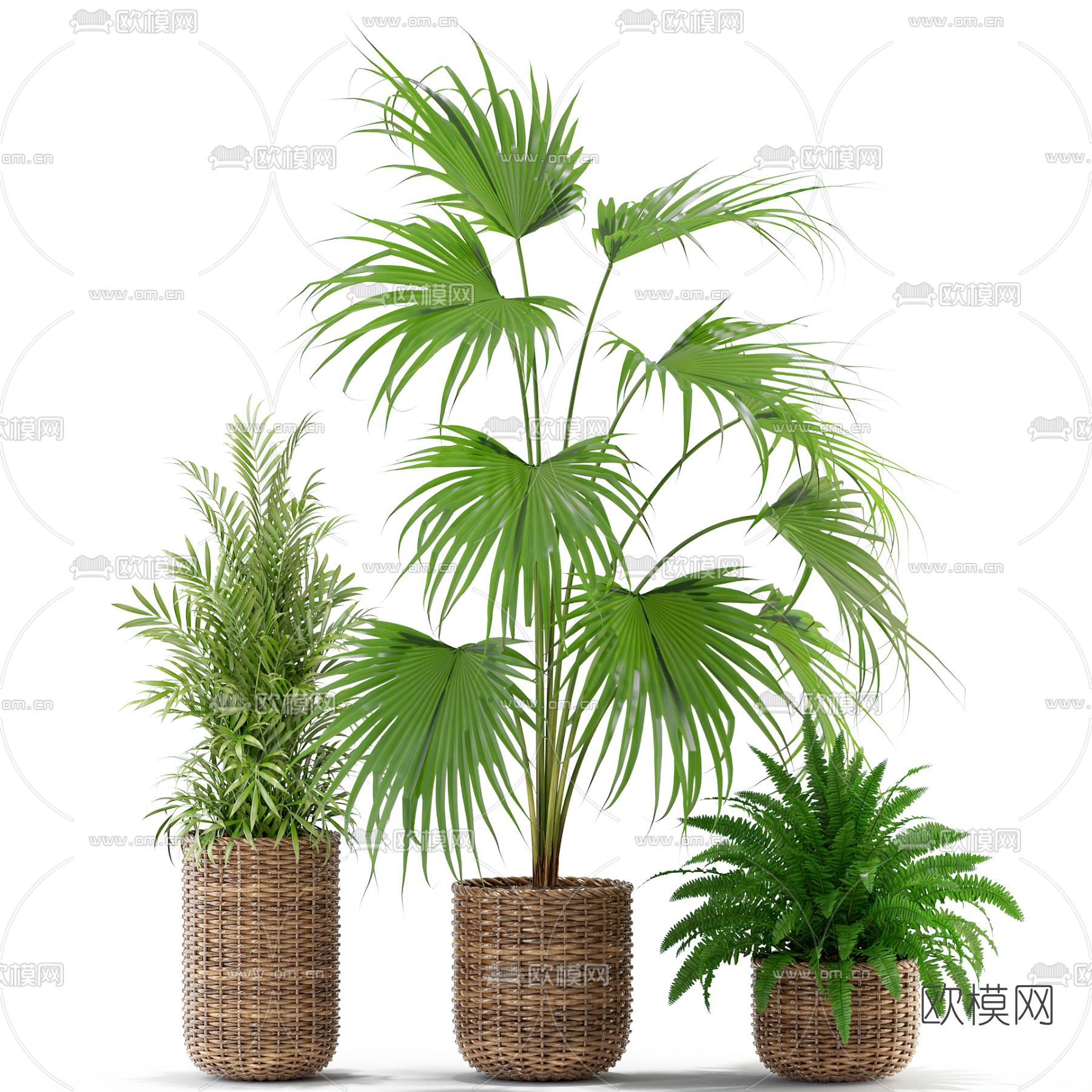 现代绿植盆栽免费3d模型下载