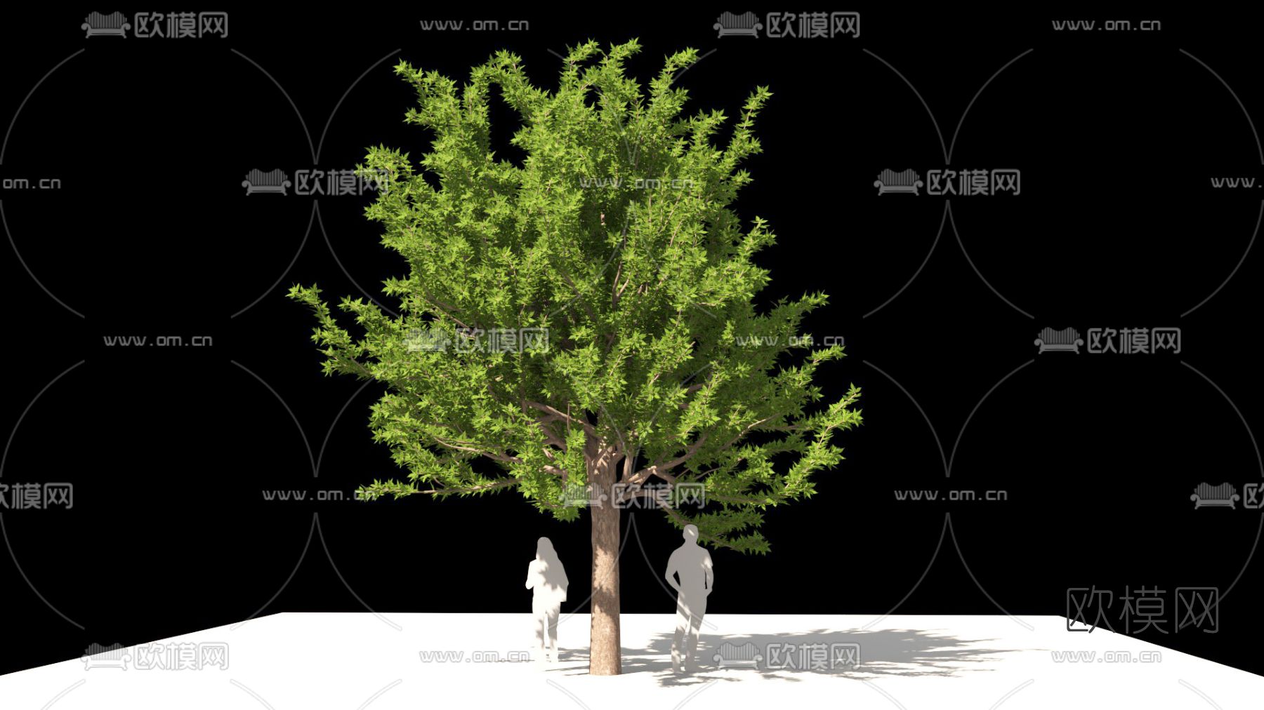 现代绿植树木免费3d模型下载