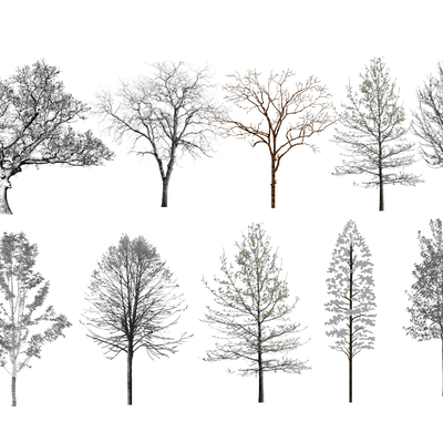  现代枯树干su模型 