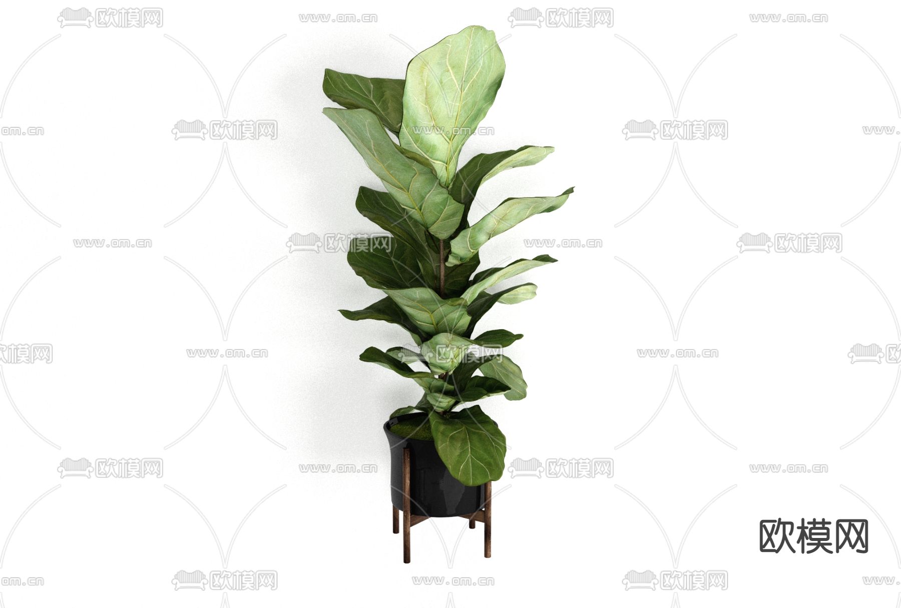 现代绿植盆栽免费3d模型下载