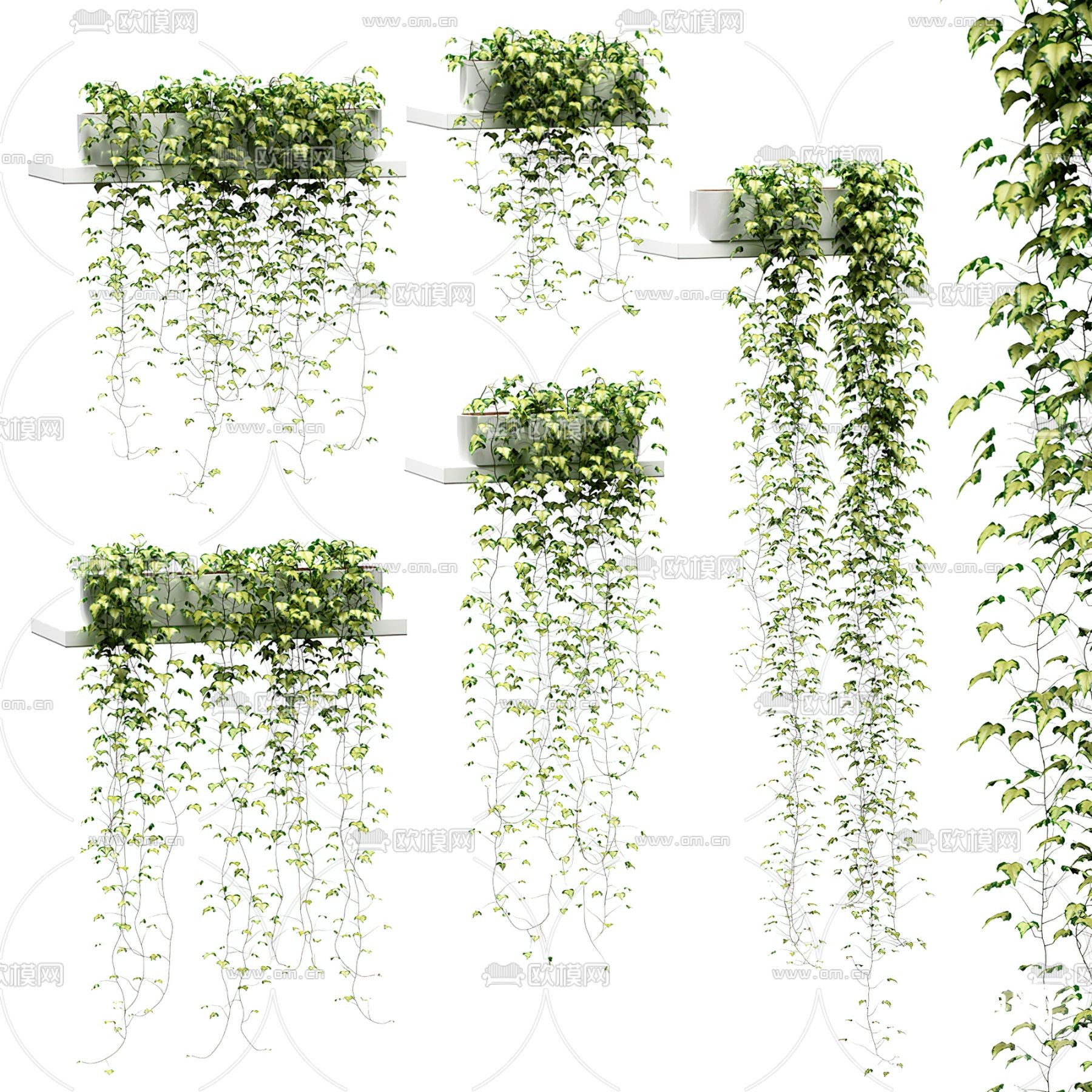 现代绿植吊兰吊篮3d模型