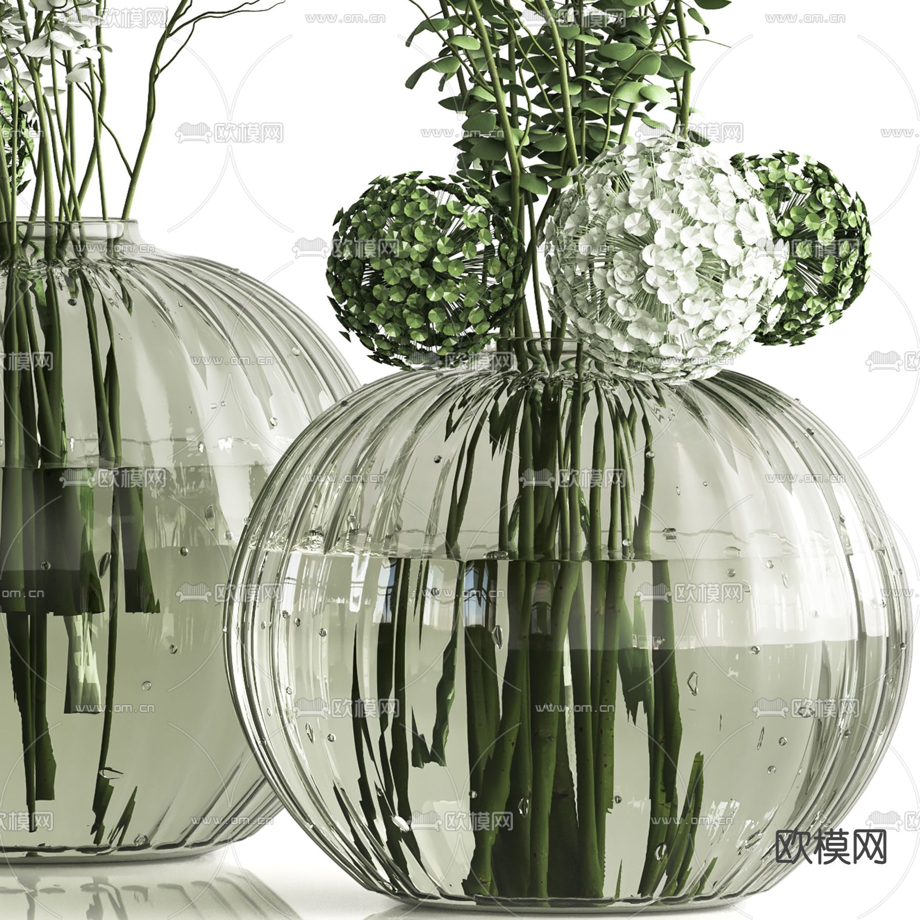 现代水生绿植花瓶花艺3d模型下载（渲染图2）