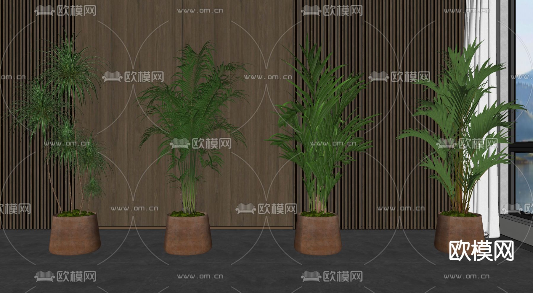 现代植物盆栽su模型下载（渲染图2）