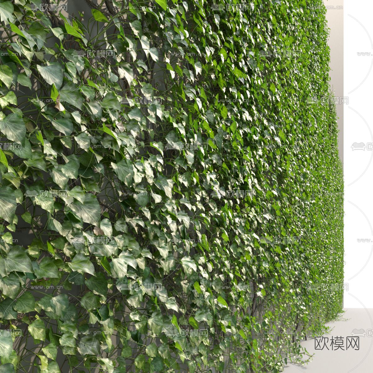 现代绿植藤蔓3d模型下载（渲染图3）