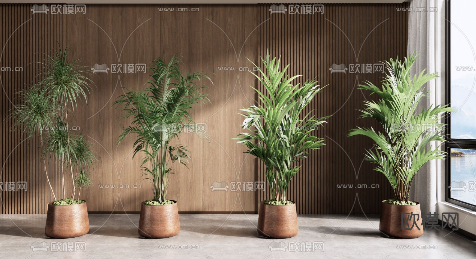 现代植物盆栽su模型下载（渲染图1）