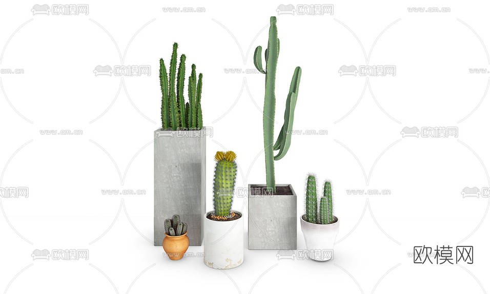 现代植物盆栽免费3d模型下载