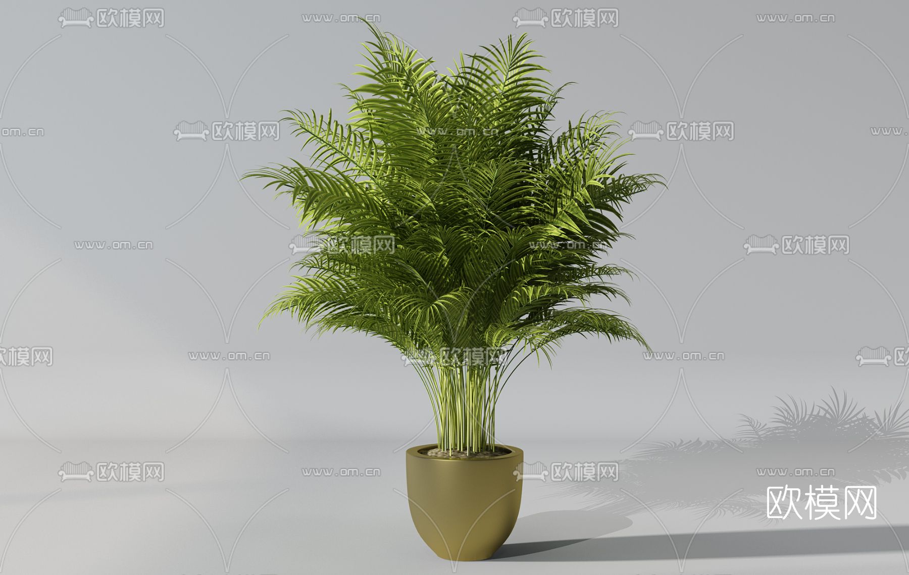 现代植物盆栽免费3d模型下载