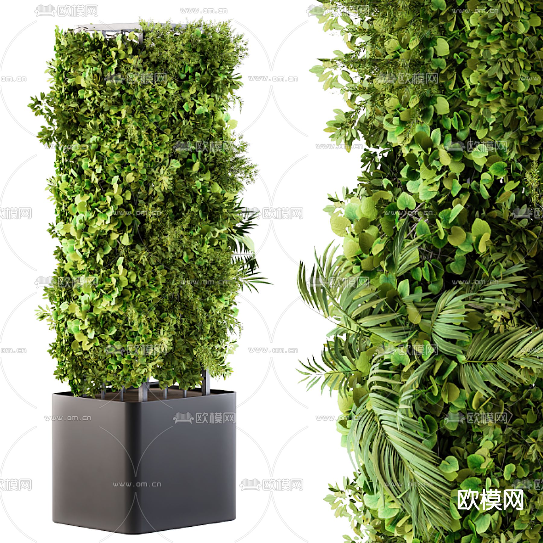 现代绿植盆栽3d模型下载_ID11893182_3dmax免费模型-欧模网