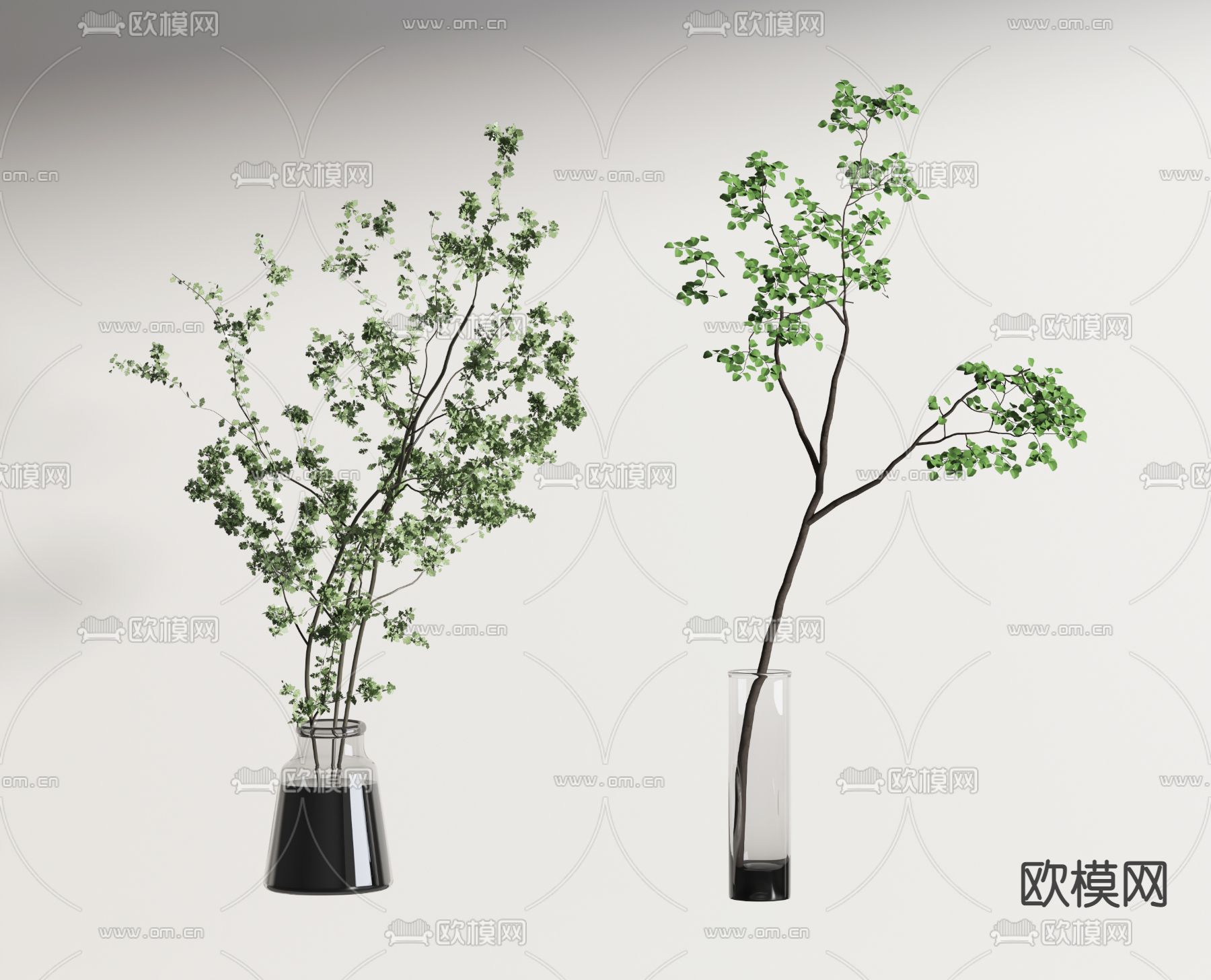 现代水生植物花瓶3d模型下载