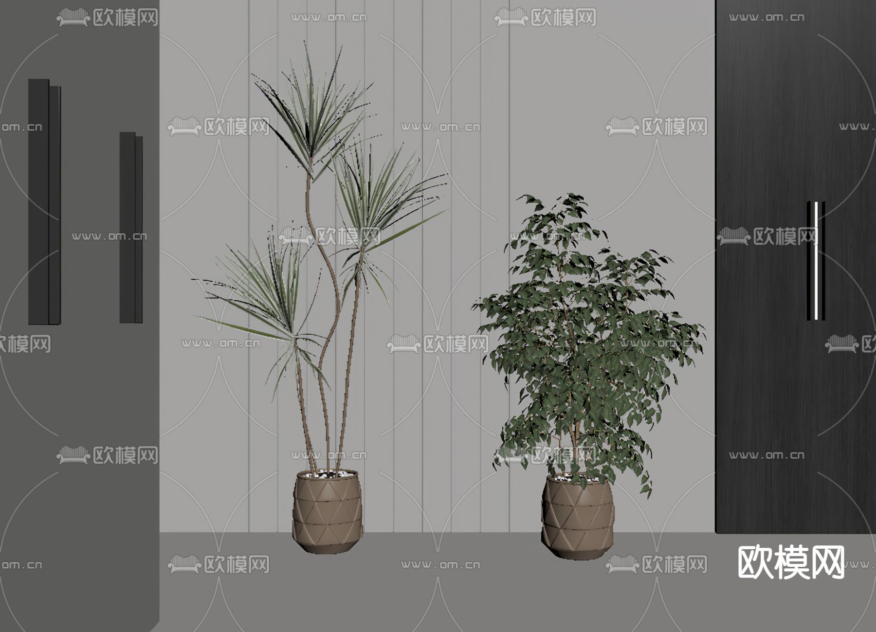 现代绿植su模型下载（渲染图2）