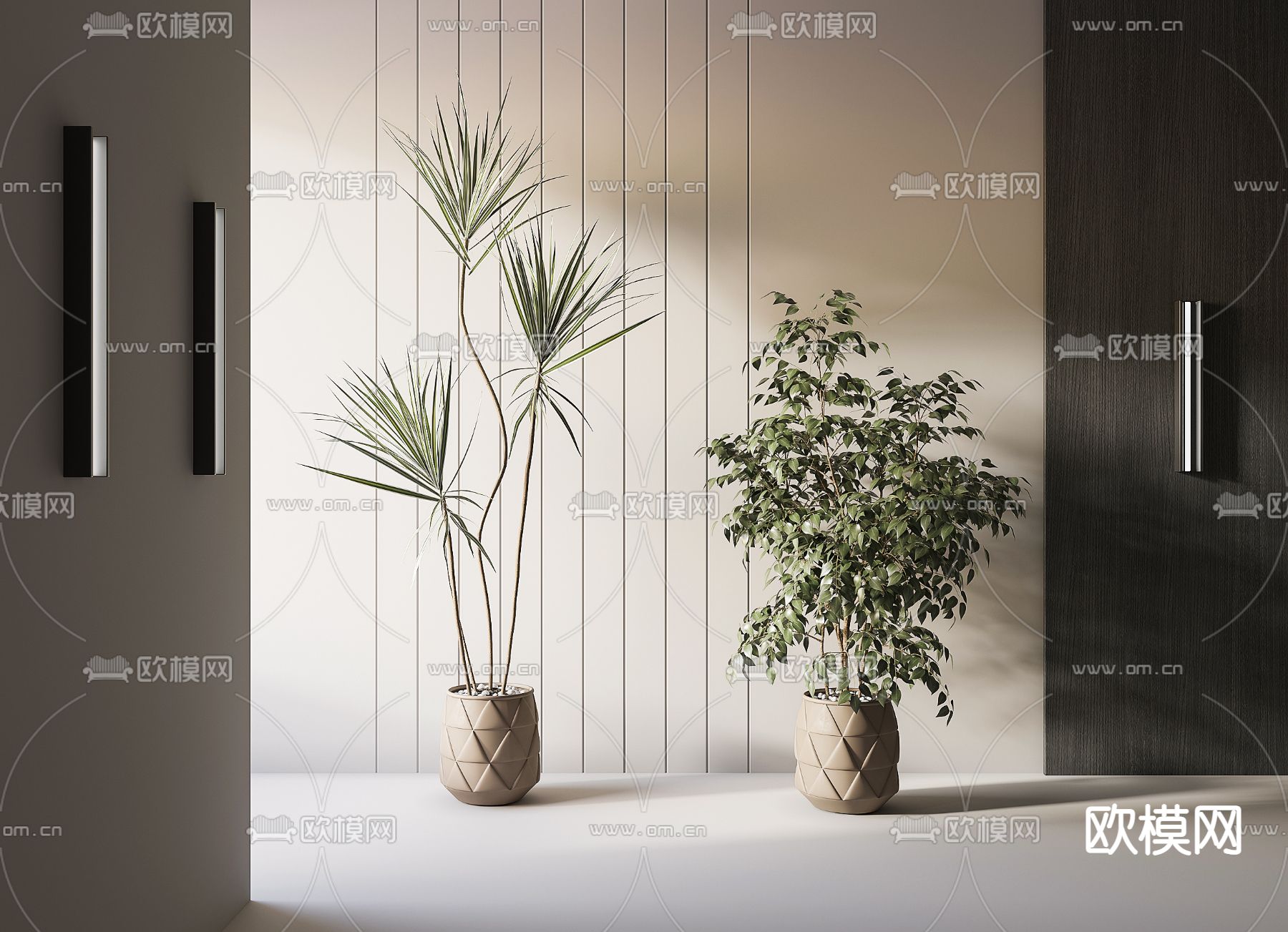 现代绿植su模型下载（渲染图1）